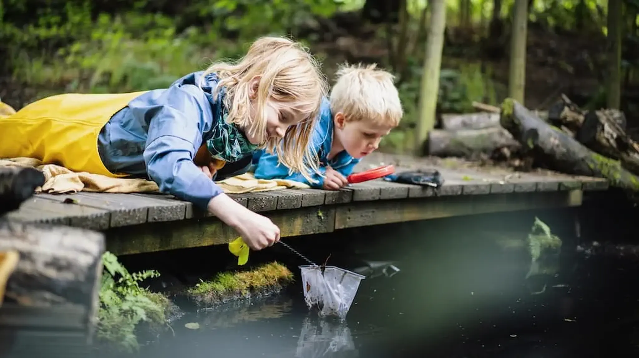 Two children lie on a wooden platform by a pond exploring the water together