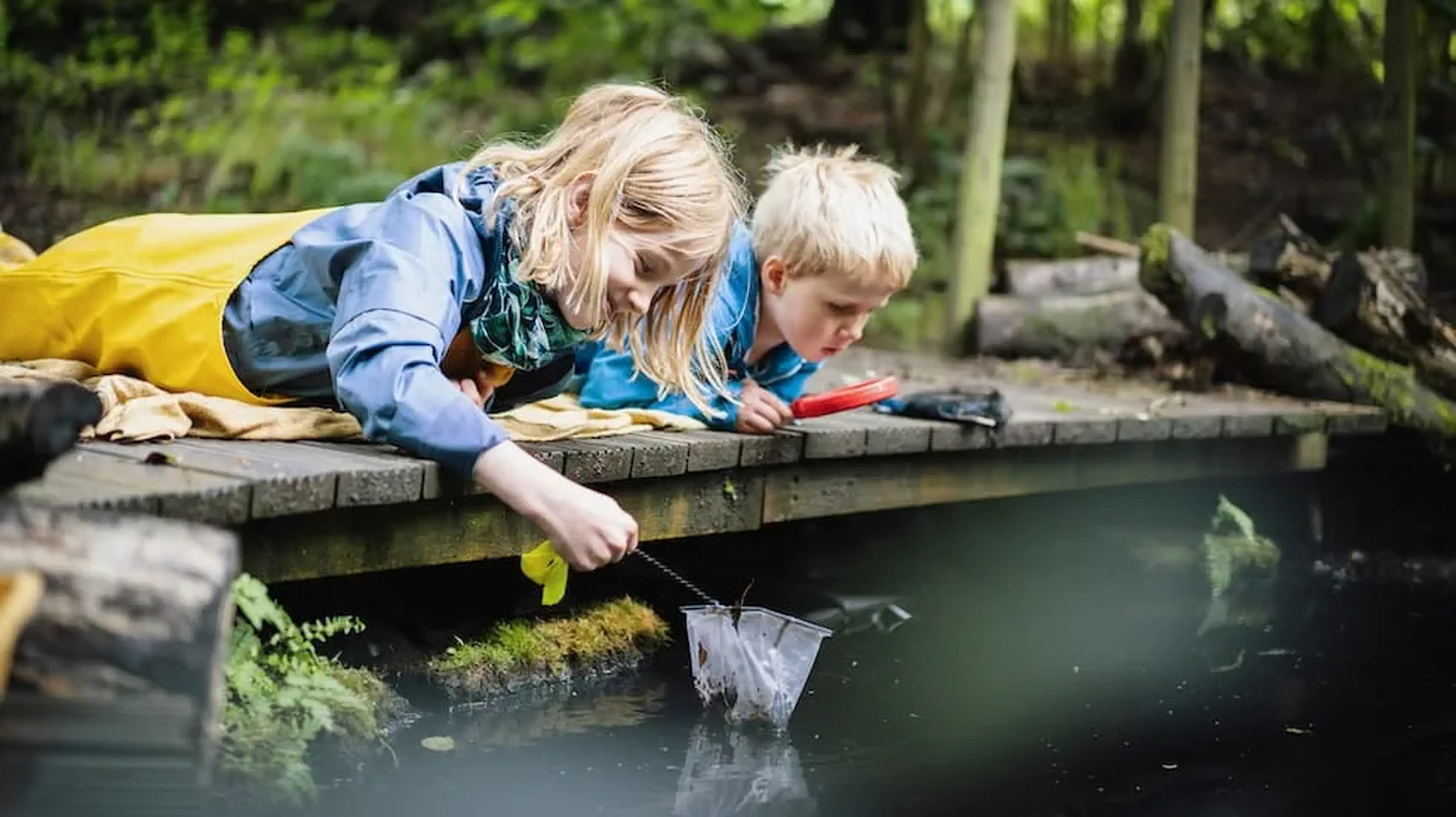 Two children lie on a wooden platform by a pond exploring the water together