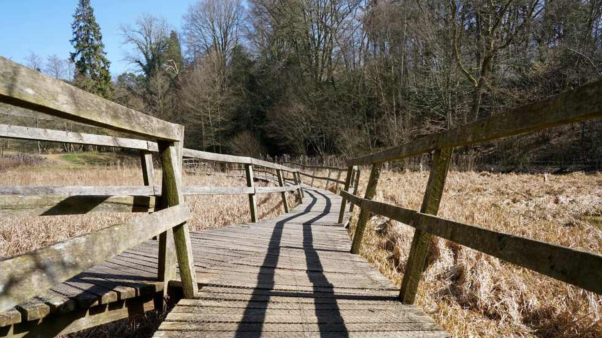 Curved wooden boardwalk flanked by railings, winding through a dry grassy area