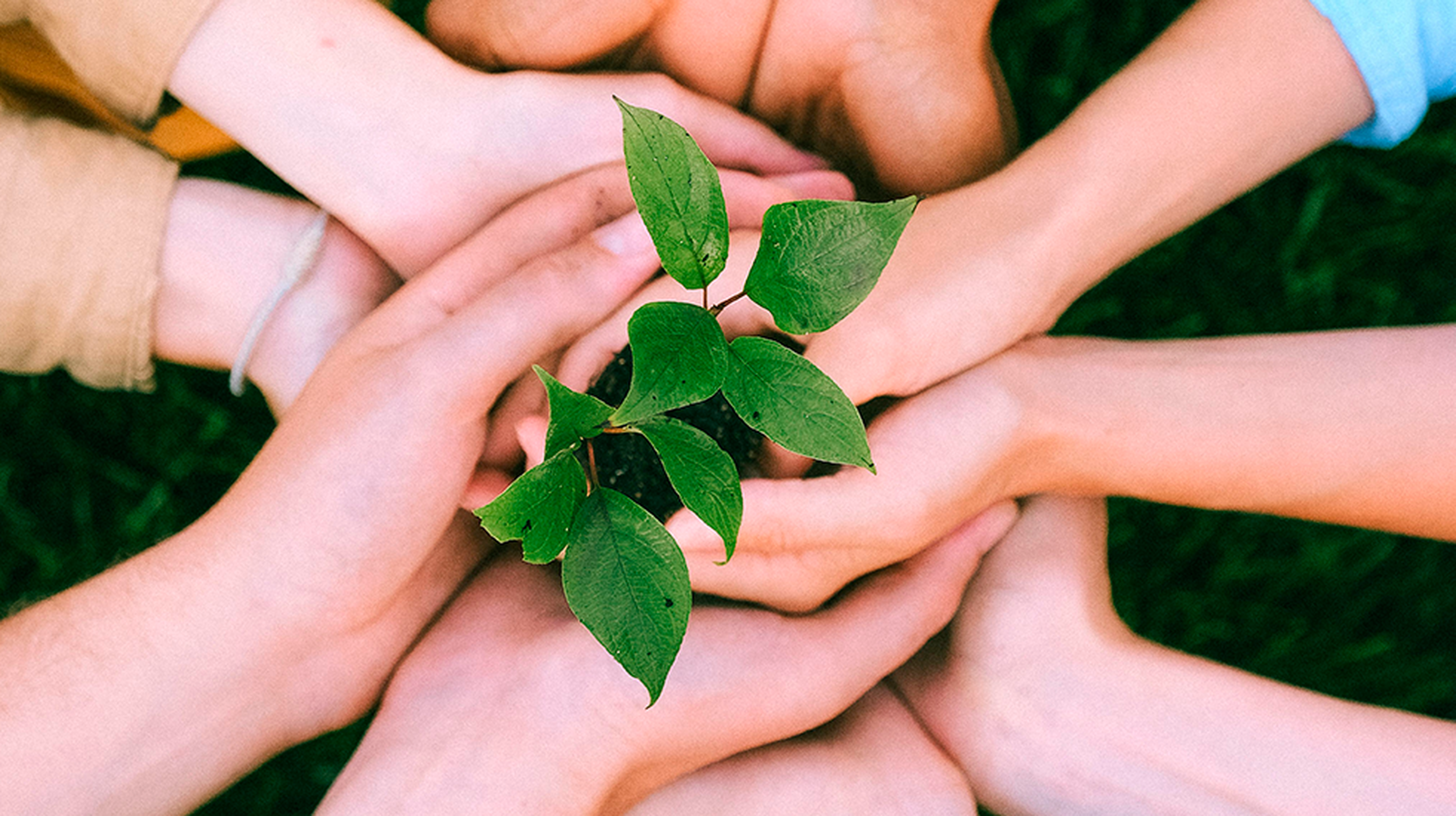 Better together: the importance of finding community through hobbies and interests