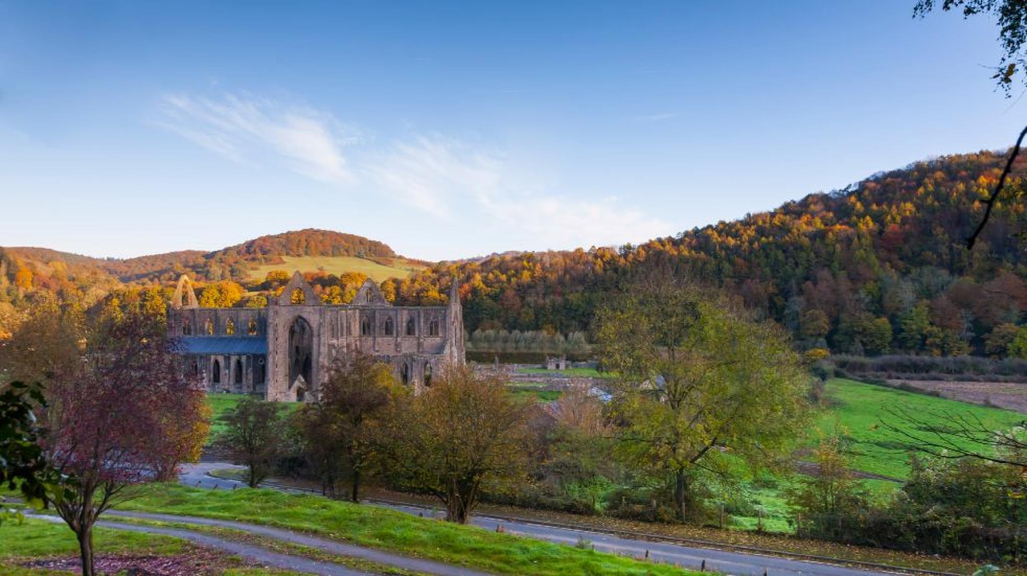 Ruins of a large stone abbey in a lush green valley, surrounded by colorful autumn trees and rolling hills under a clear blue sky.