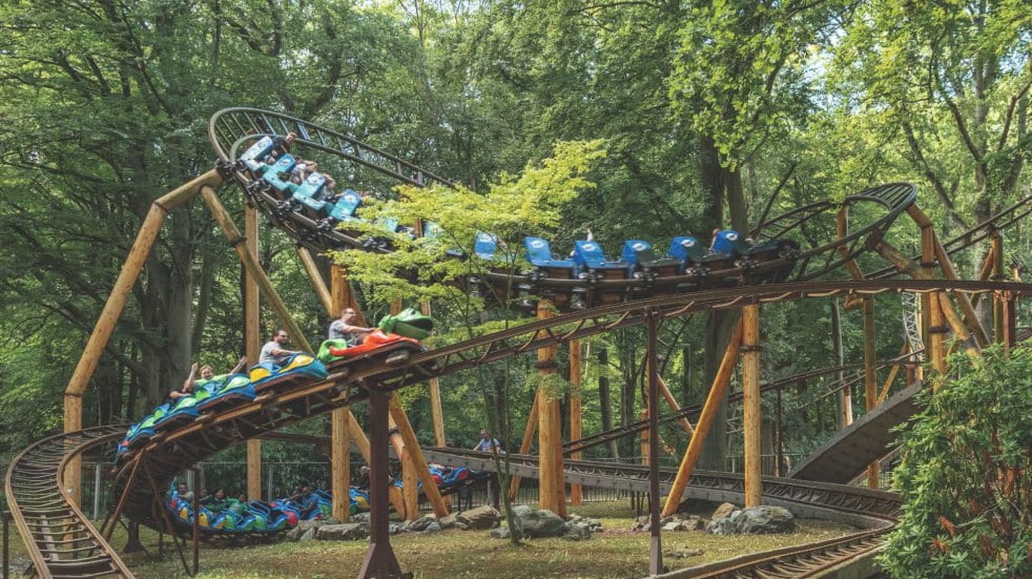 Roller coaster winding through a forest