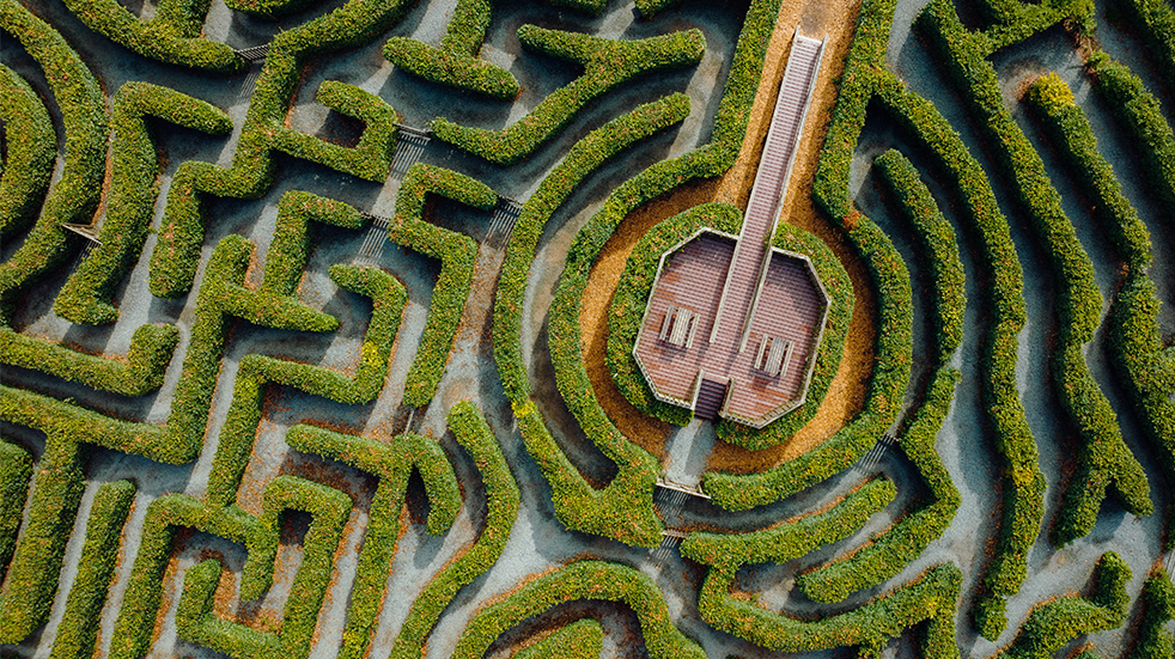 9 amazing mazes in the UK worth getting lost in