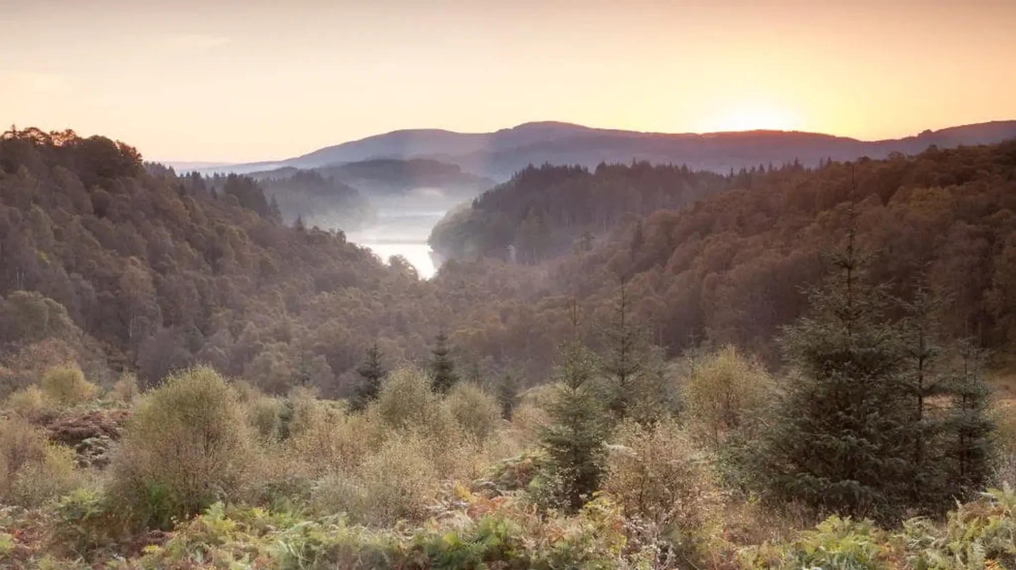 Sunset over a misty valley with dense forest