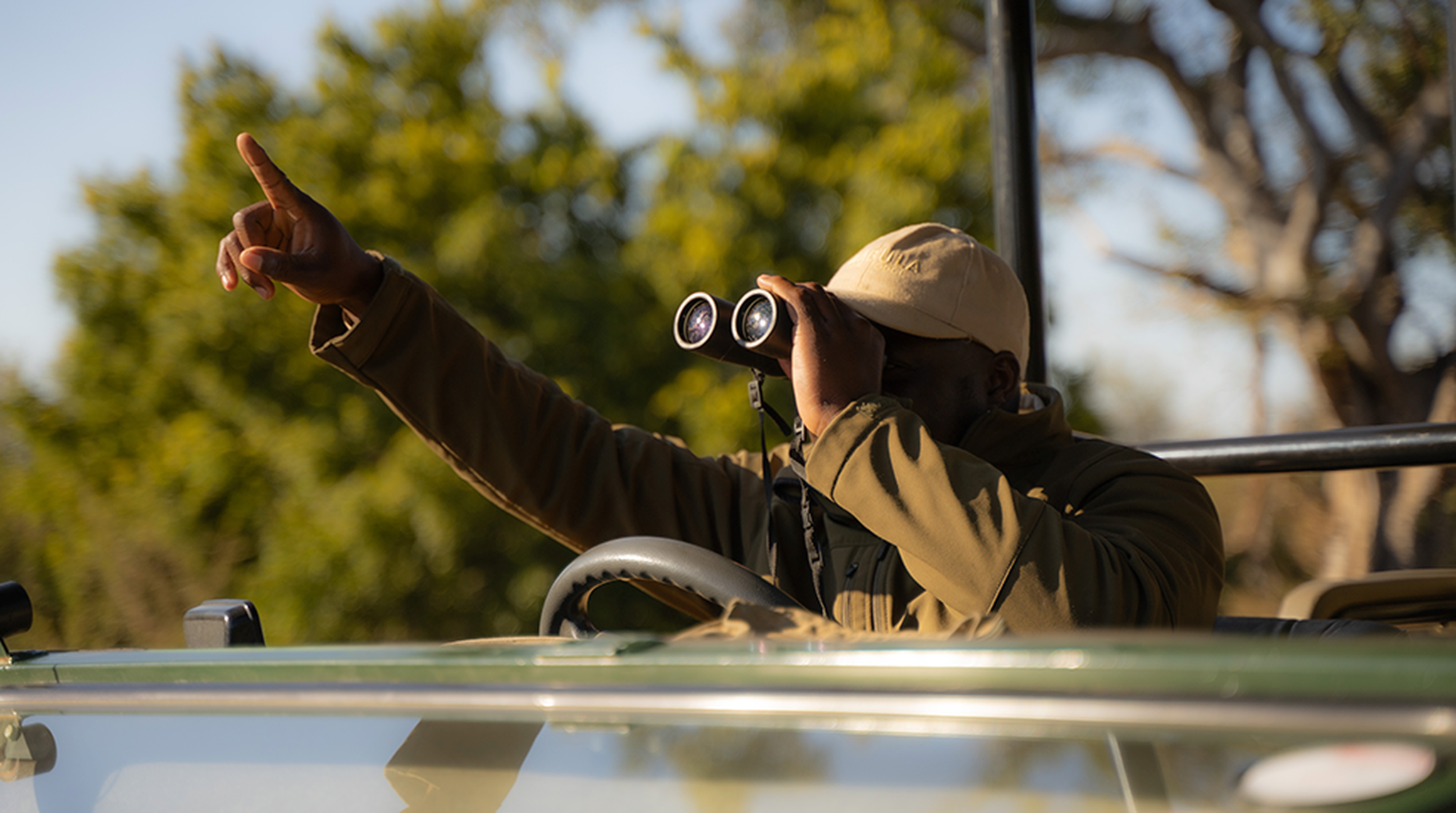 A person in a safari vehicle uses binoculars and points into the distance, surrounded by trees under a clear sky.