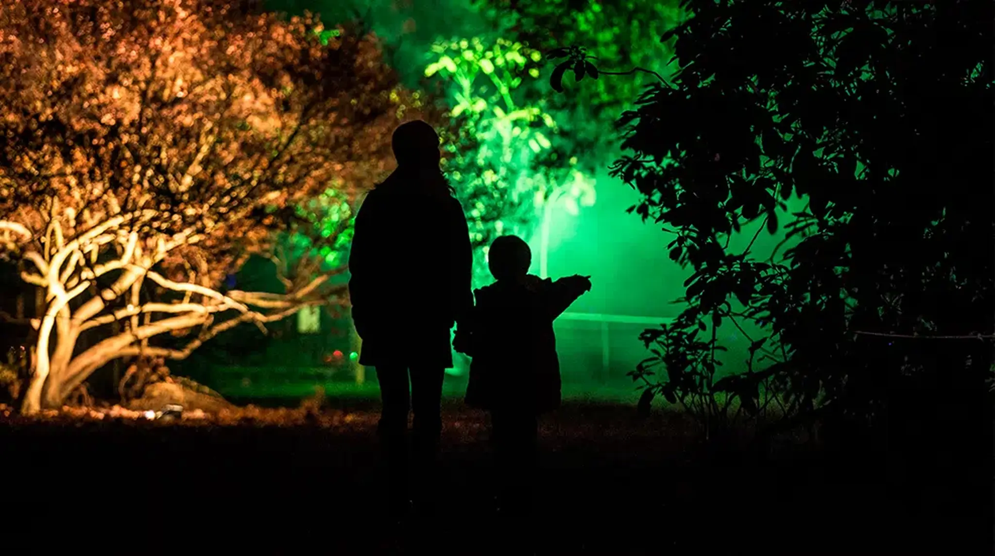 Silhouettes of two people stand in a dark garden with trees lit by colourful green and orange lights