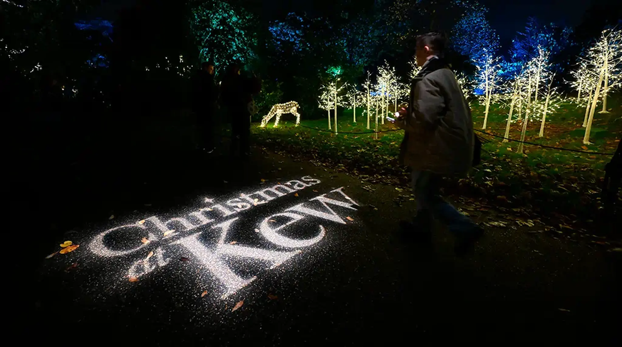Illuminated trees and a glowing deer sculpture at Kew Gardens