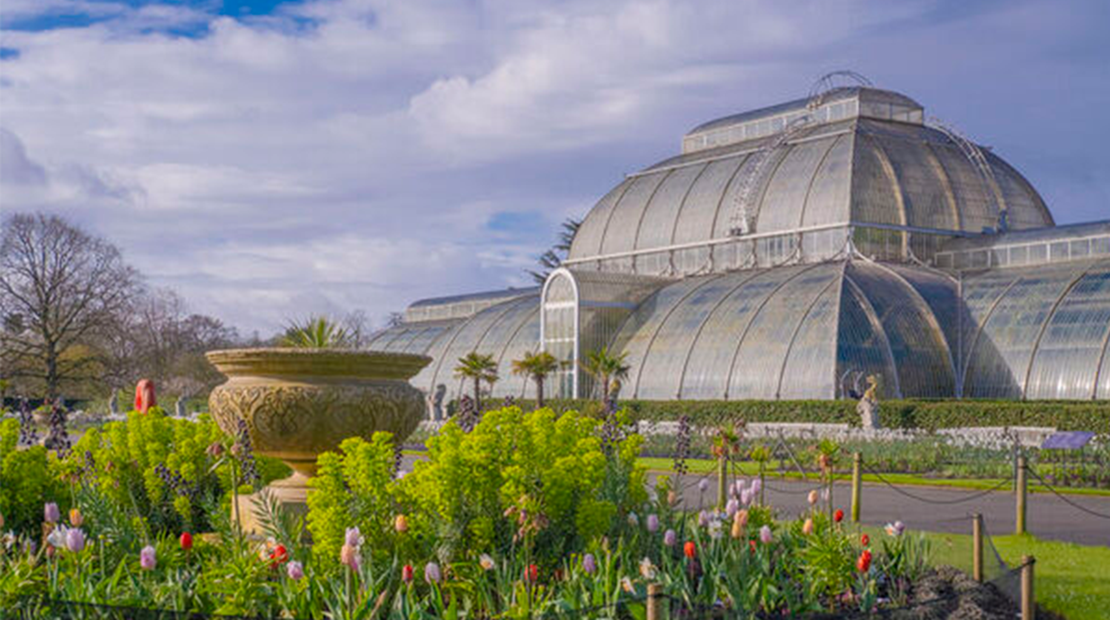 Outside of the Palm House at Kew Gardens with tulips in the foreground