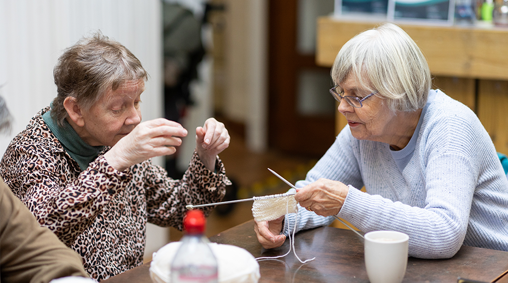 One elderly woman demonstrating knitting to another
