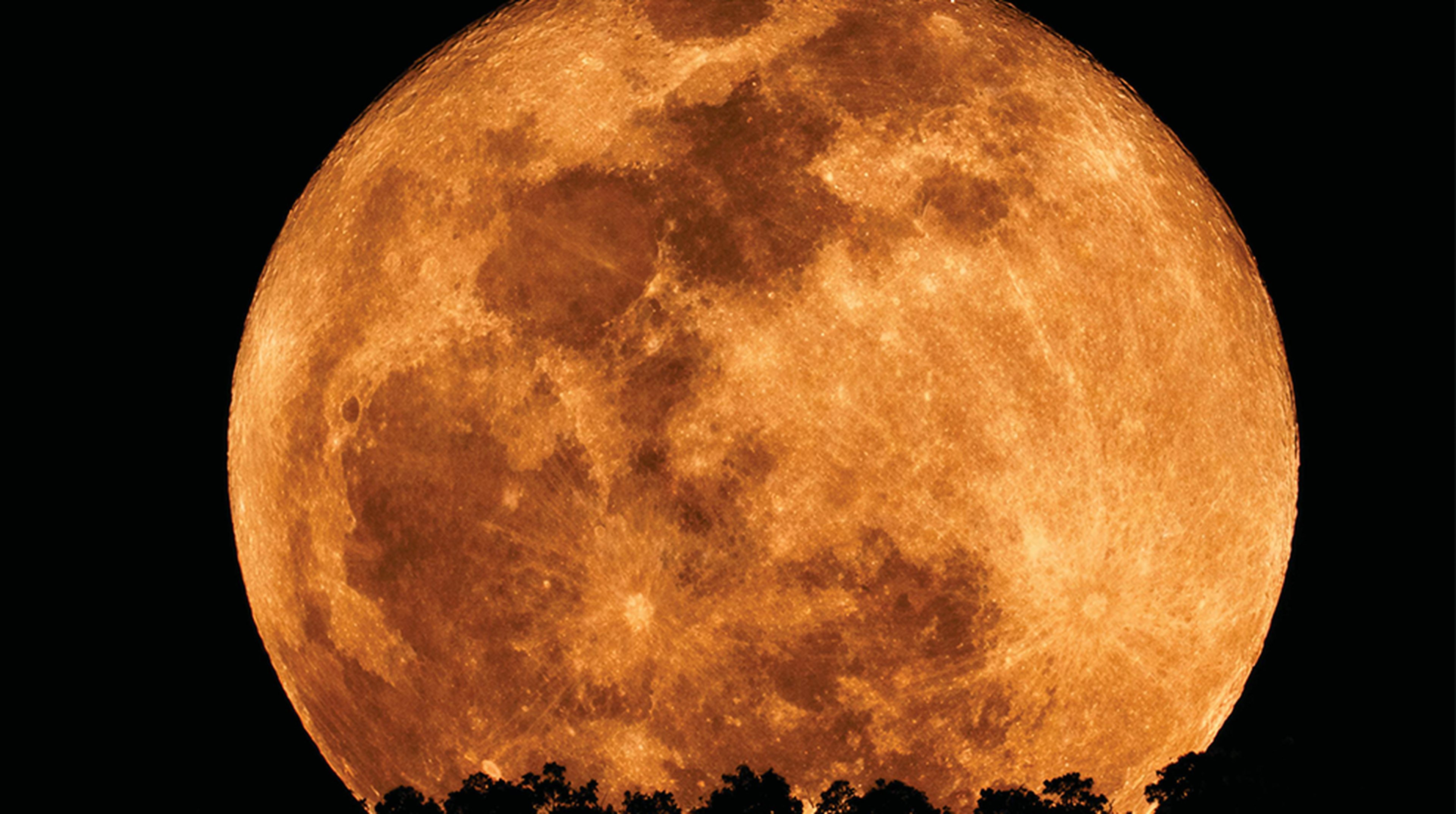 Stunning capture of a strawberry full moon rising above treetops in Tocantins, Brasil.