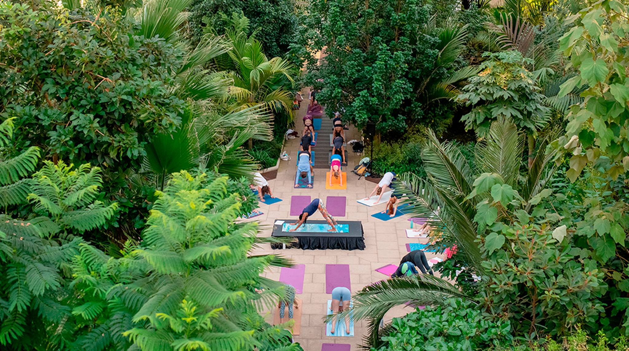 Aerial view of group of people doing yoga inside Kew Gardens' Palm House