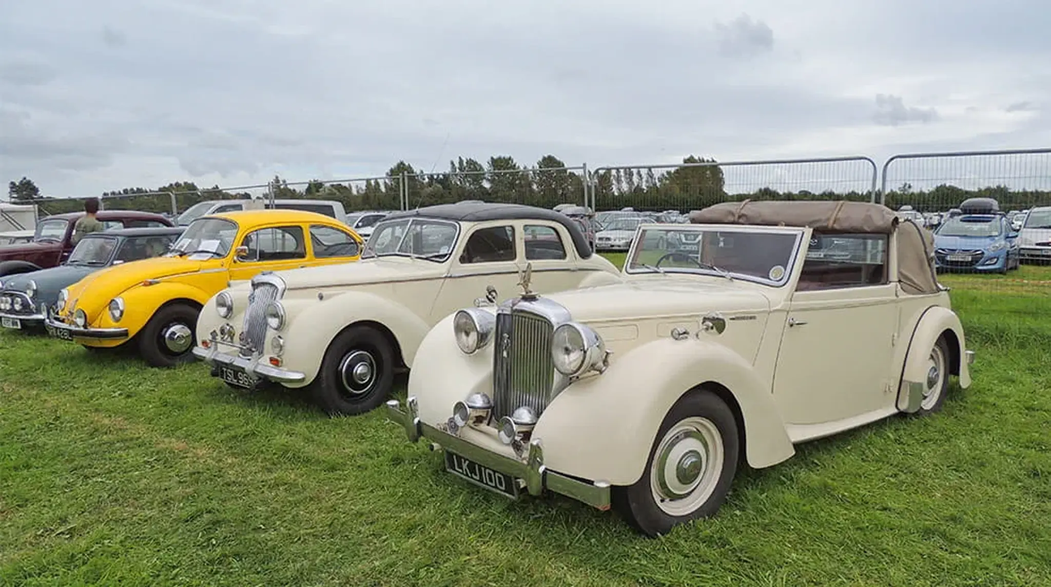 Vintage cars parked on grass at an outdoor show