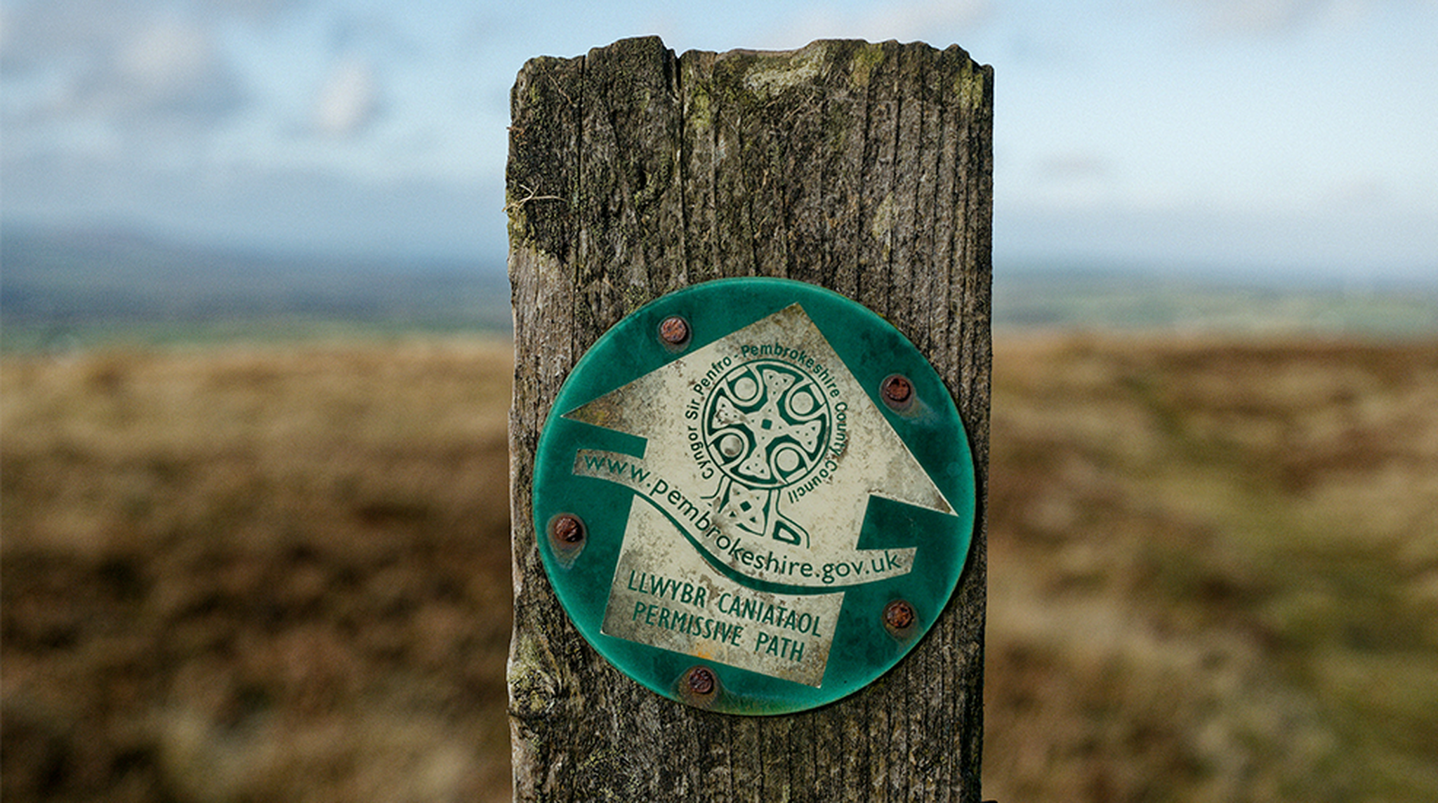 A wooden post with a green Pembrokeshire Caniataol Permissive Path sign on it