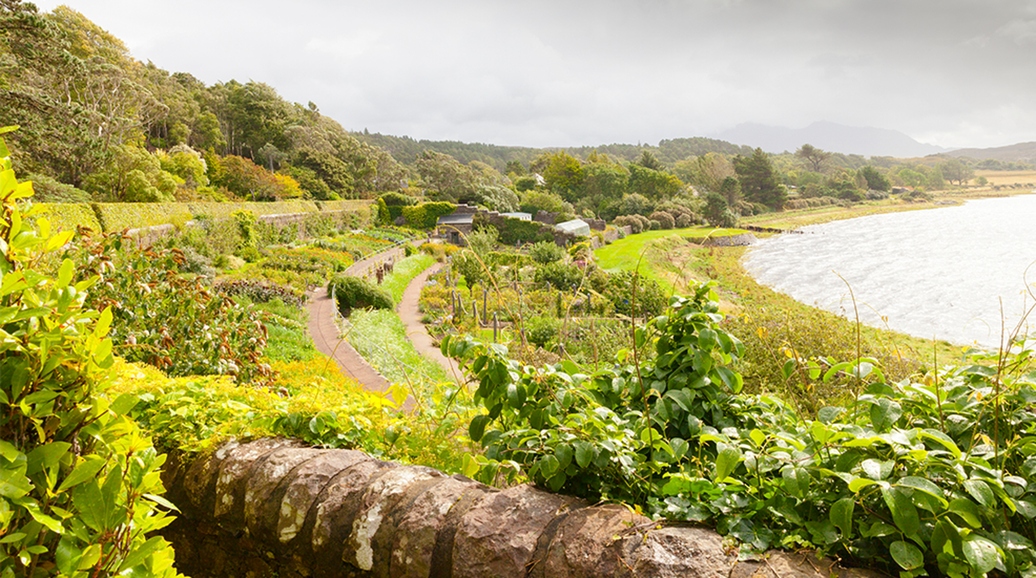 Inverewe Garden Scotland with a lot of endemic plant growing on terraces in front of the north sea