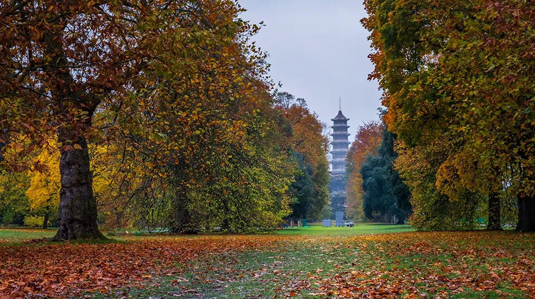 Tall pagoda amidst a vibrant autumn landscape with tree