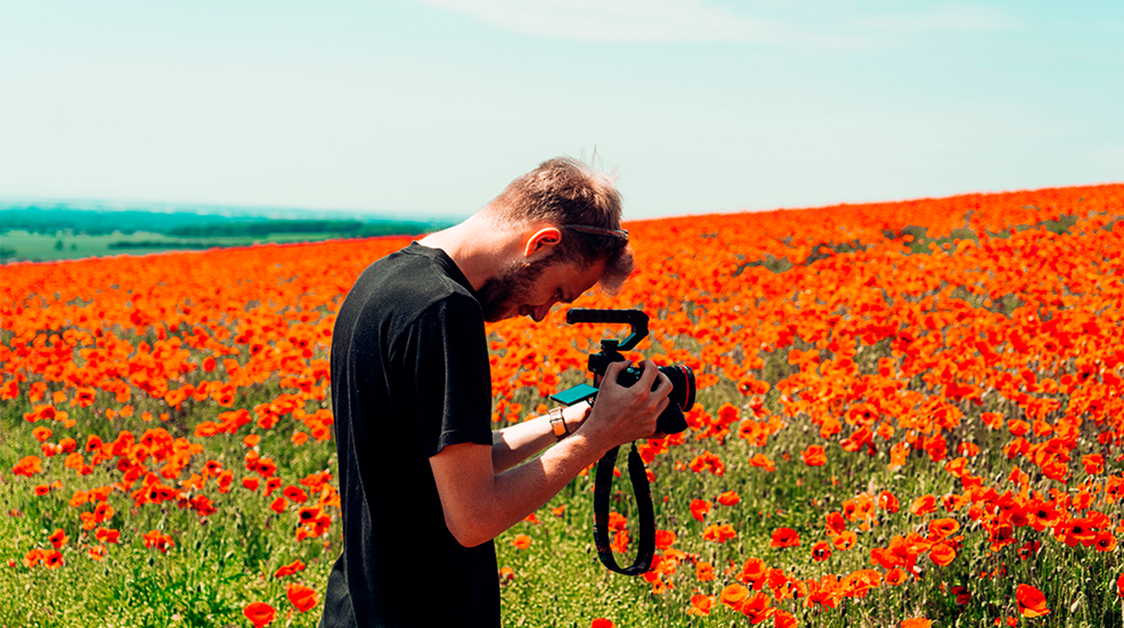 A photographer takes a shot amidst a vibrant and expansive poppy field under a clear blue sky.