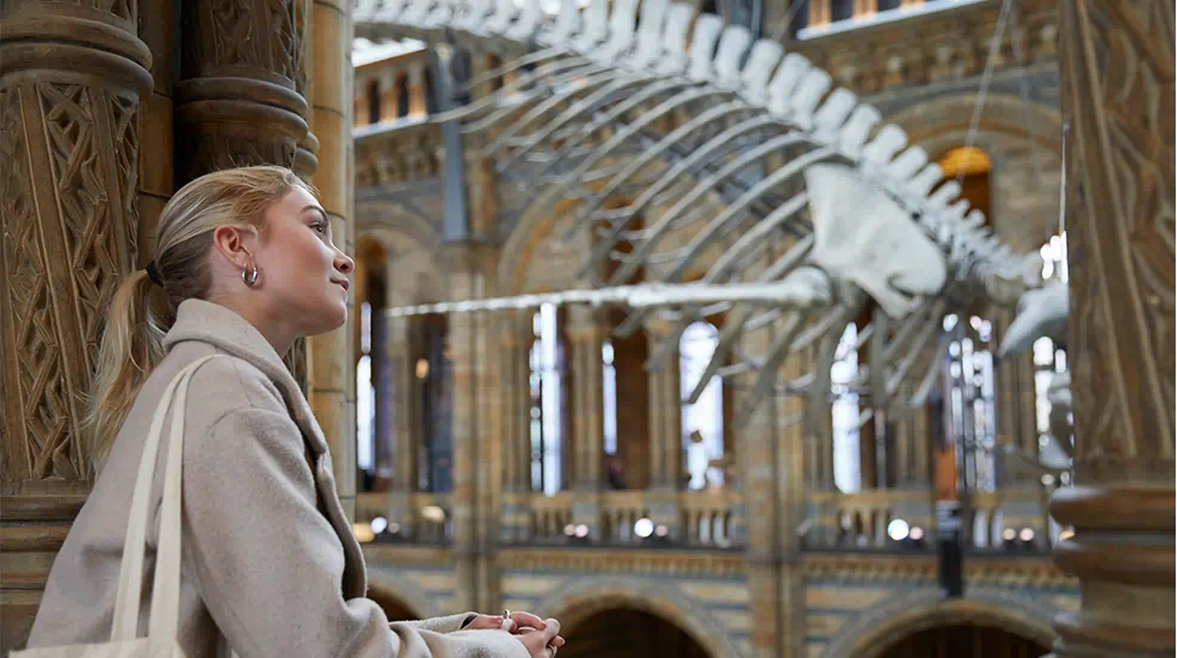 A woman gazes at a large whale skeleton suspended from the ceiling in a grand museum hall