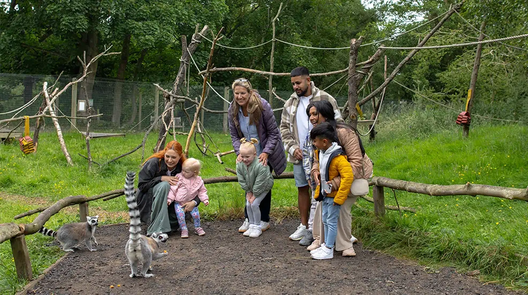A group of people, including children and adults, observe lemurs at a zoo or wildlife park