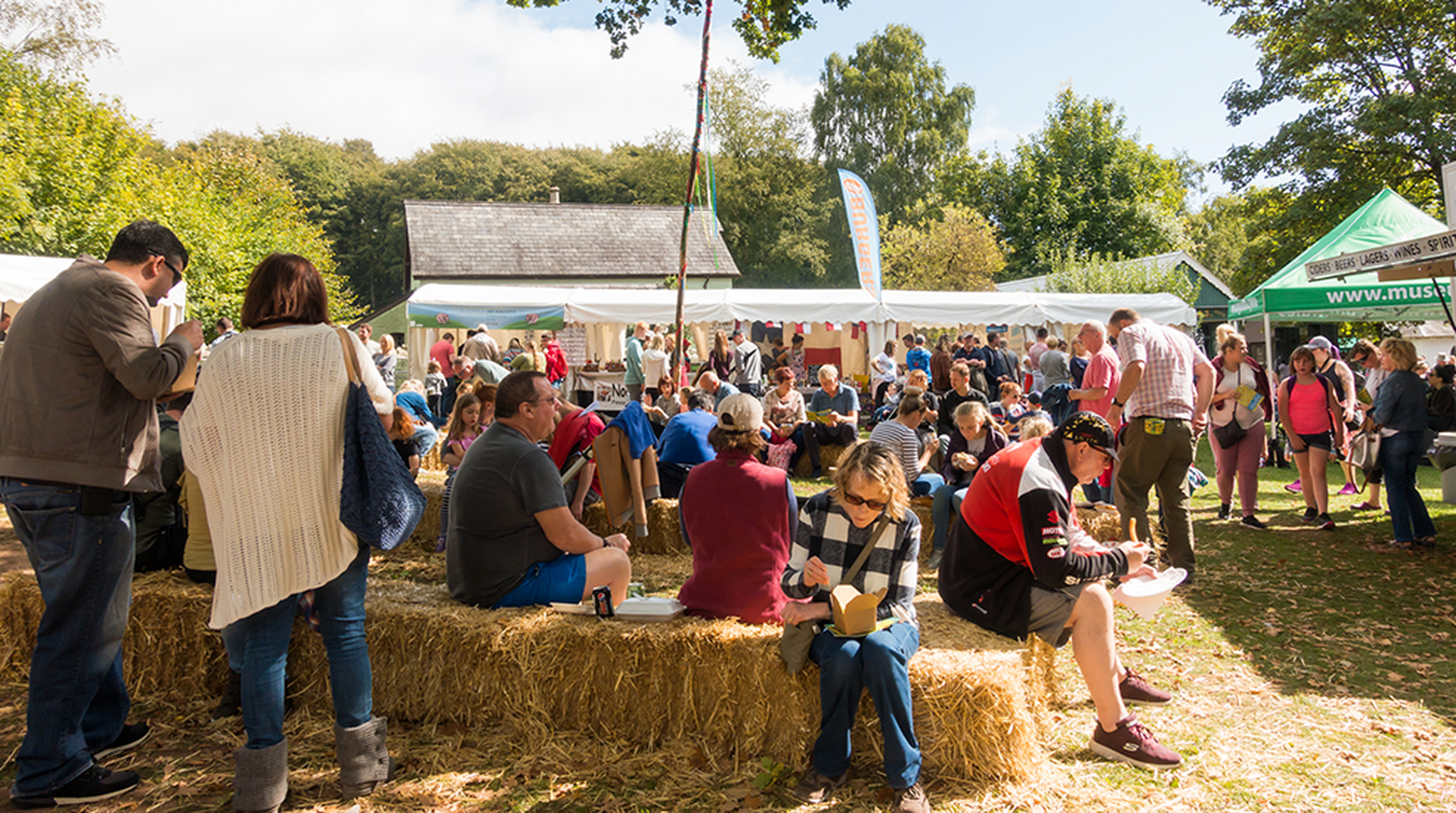 Crowd at St Fagan's Festival