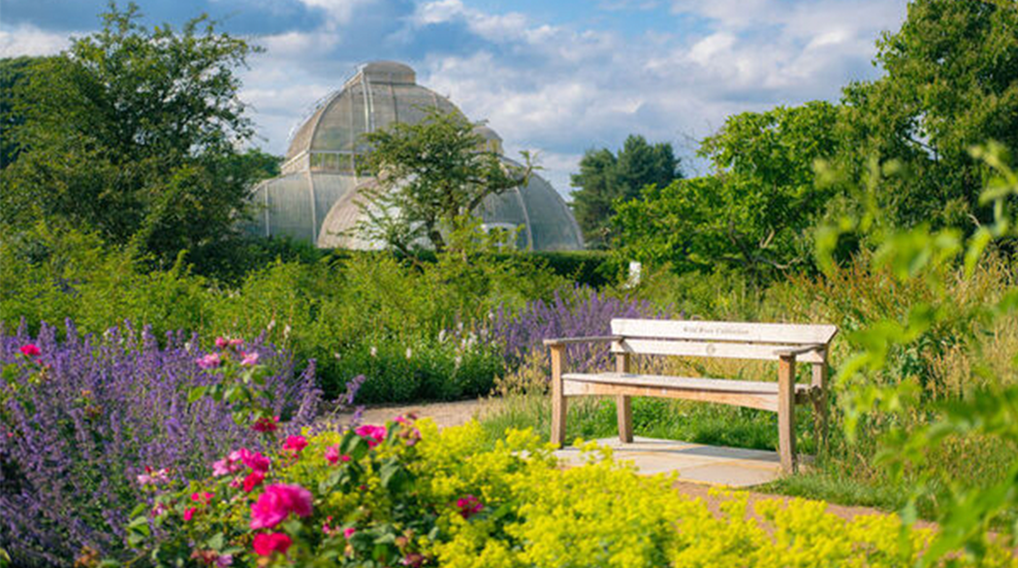Sebastian Kettley © RBG Kew at Kew