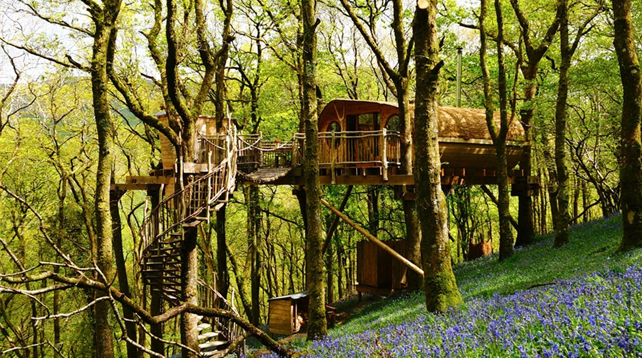 A rustic treehouse with a spiral staircase nestled in a lush, green forest