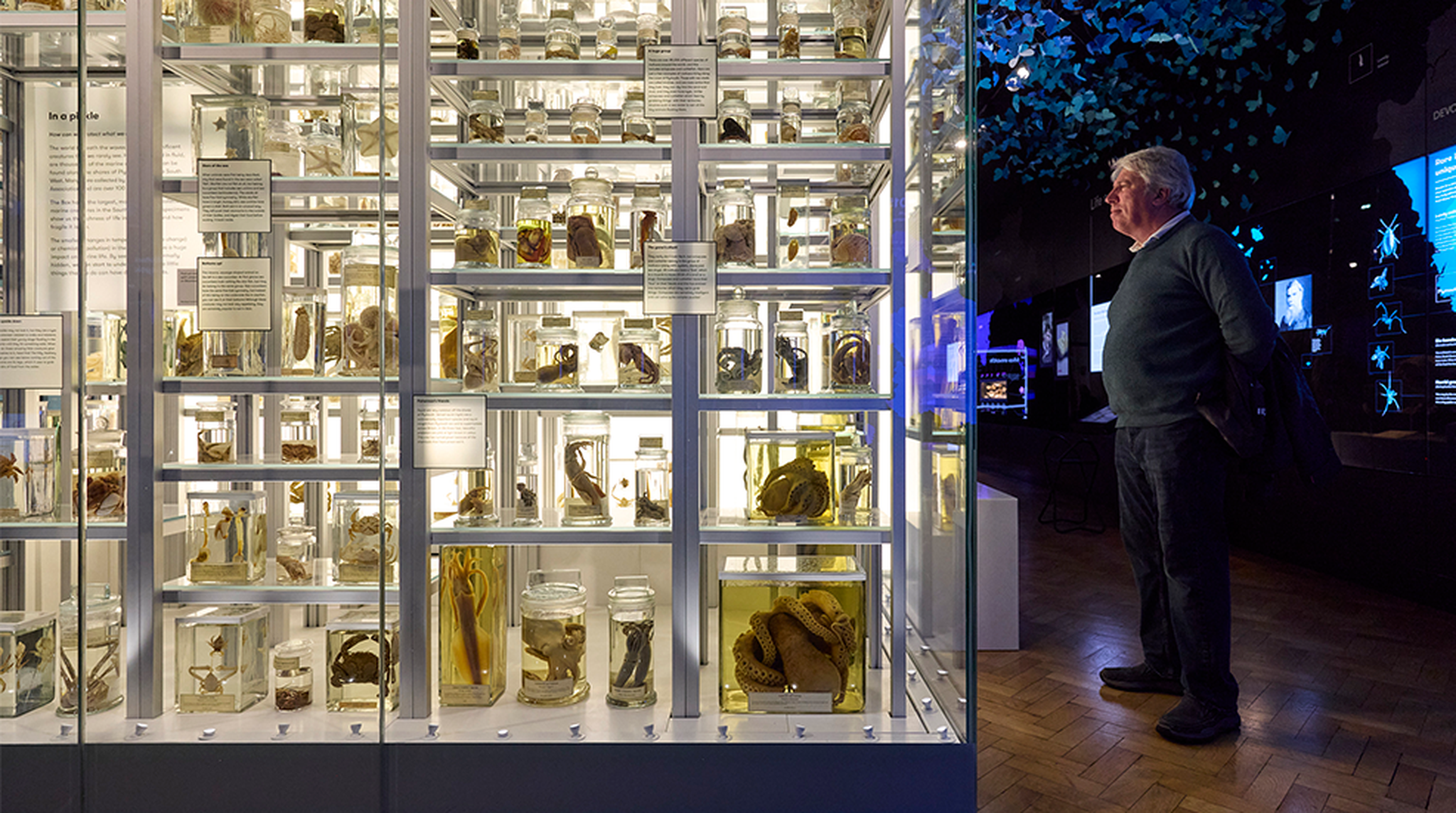 Gentleman at The Box looking at preserved artefacts