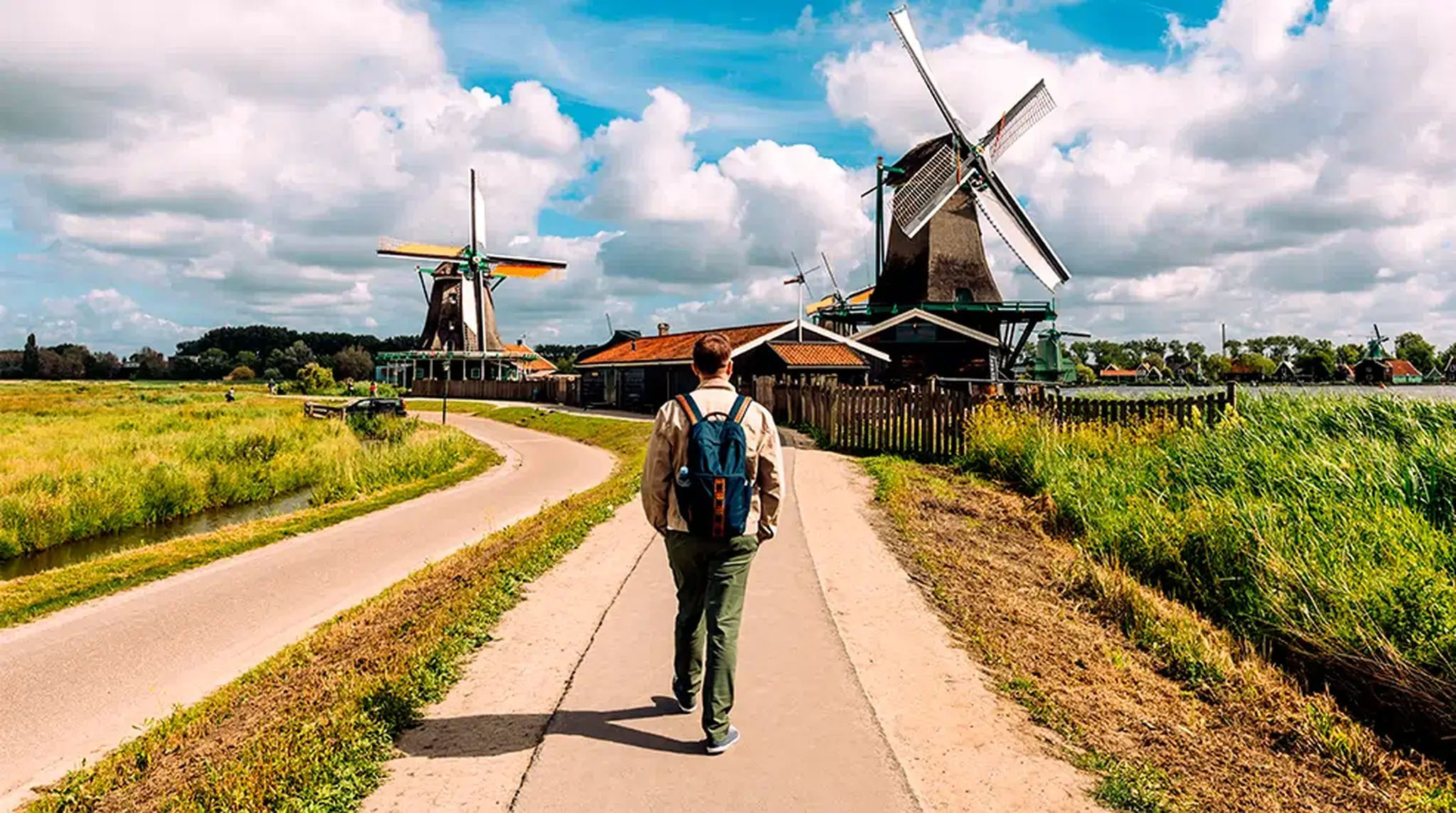 A person walks on a path toward traditional Dutch windmills in a grassy landscape