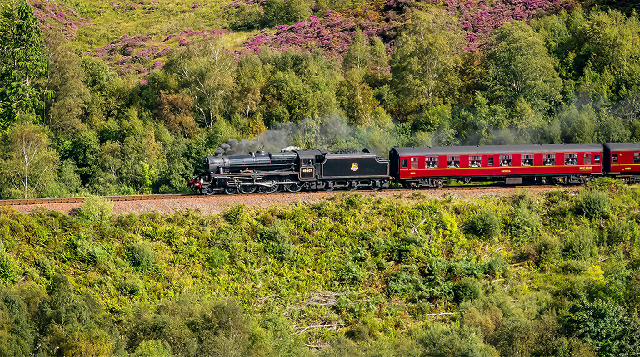 Steam engine travelling through lush green landscape
