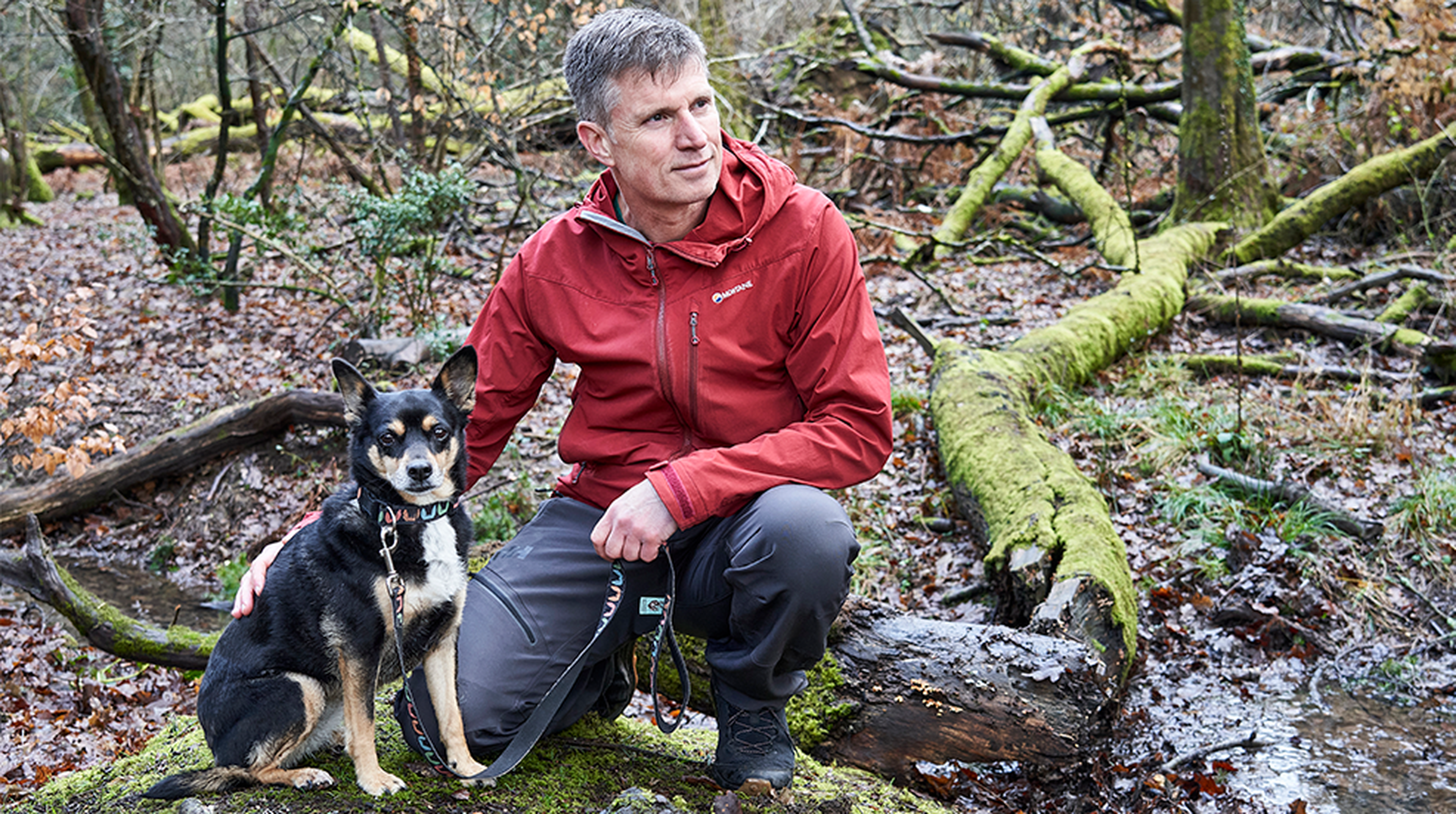 A dog-friendly stay at Whitemead Forest Park
