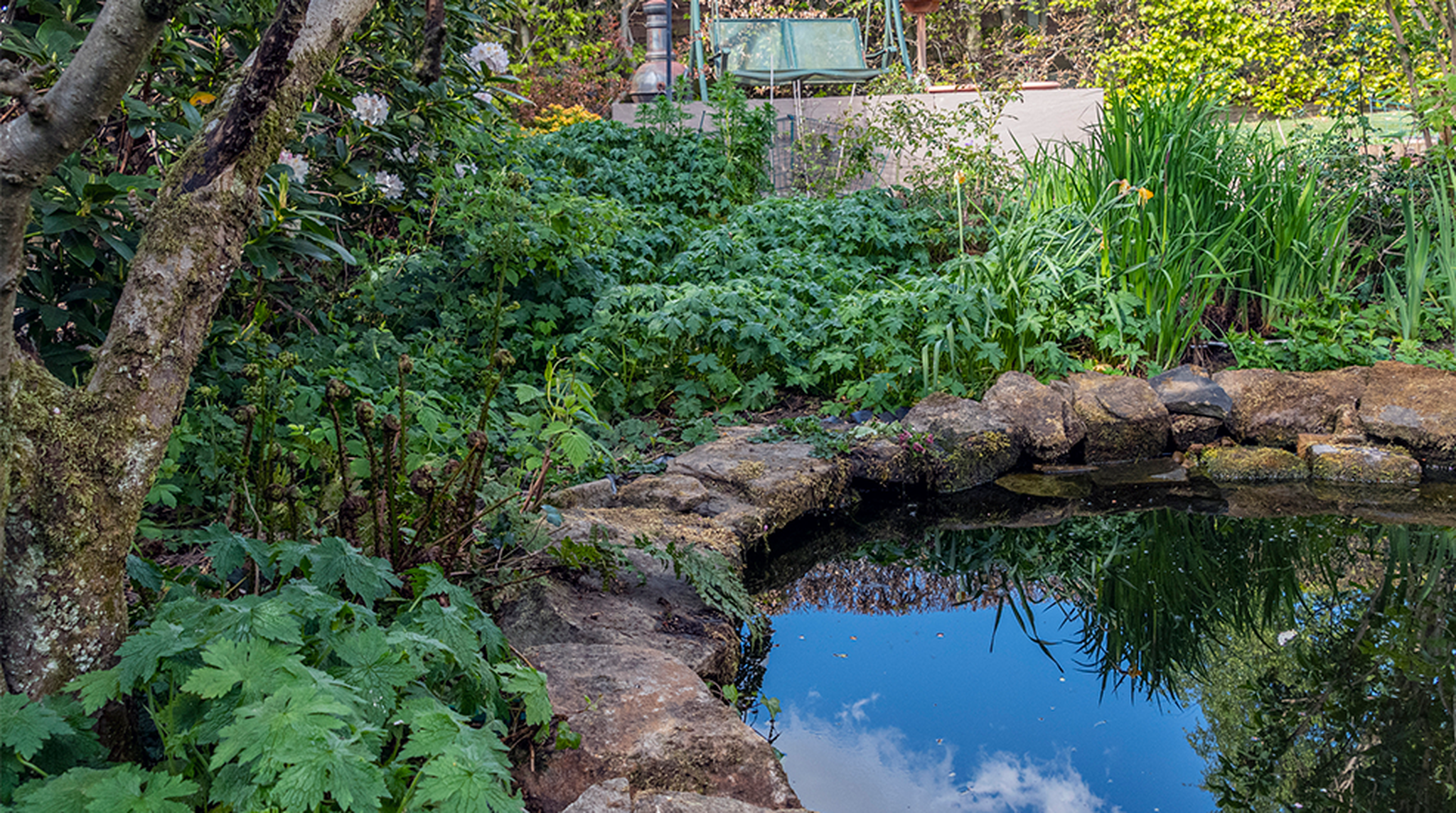 A garden pond surrounded with new Spring growth and a patio with a seating area.