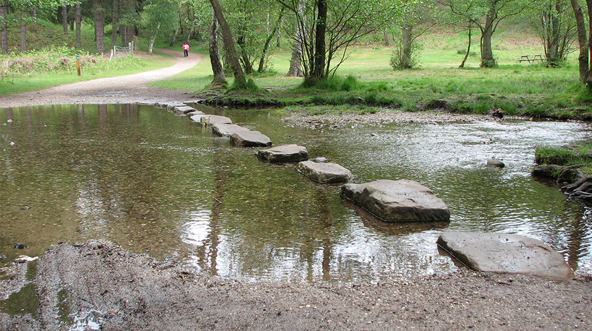 hallow stream at Stepping Stones near Brocton on Cannock Chase, Staffordshire on sunny summer day with green trees and grass
