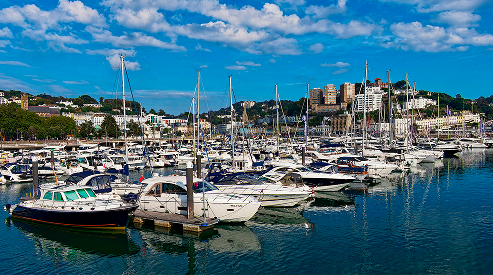 A vibrant marina filled with sailboats under a bright blue sky, capturing the essence of summer seafaring.