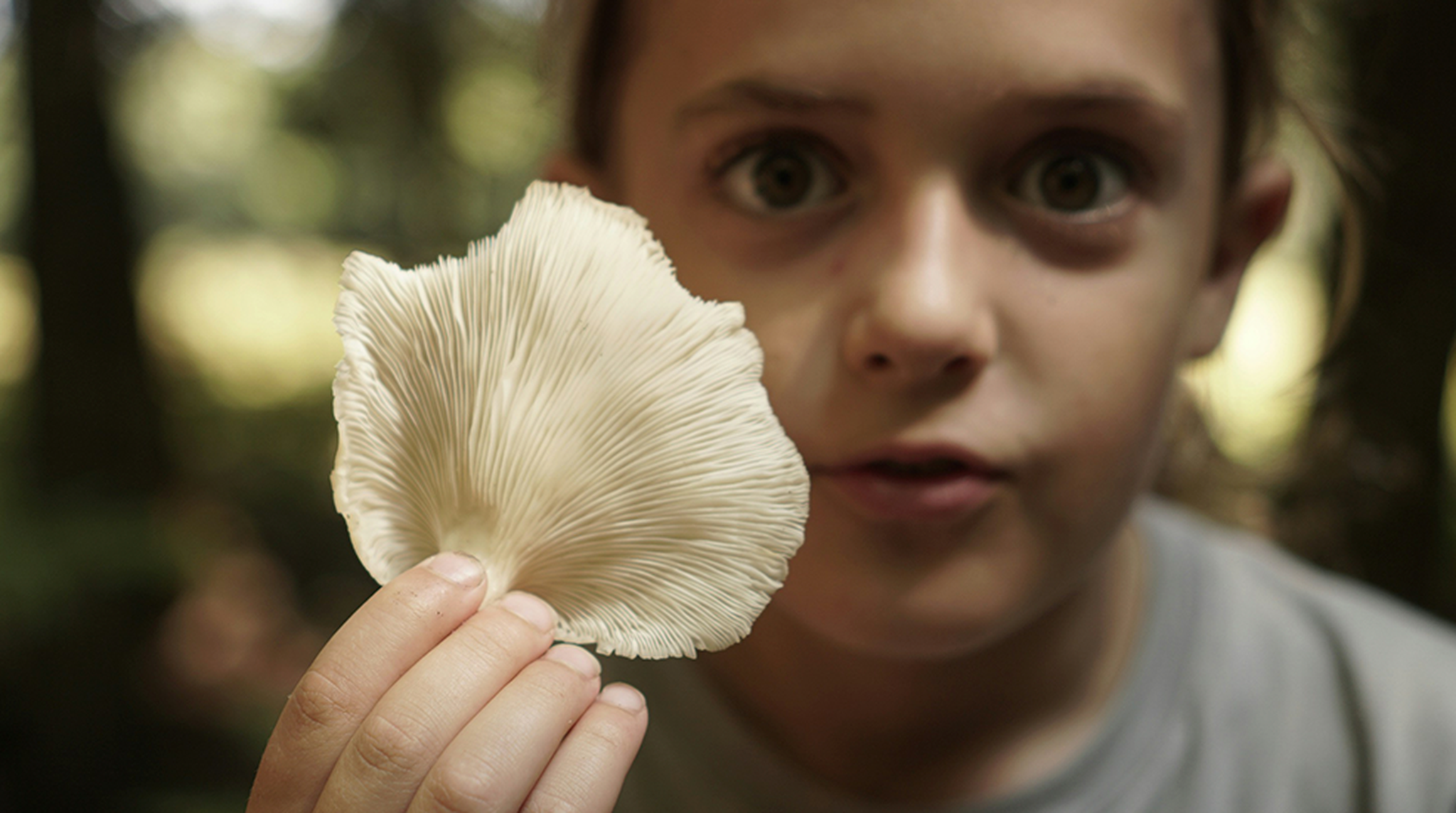 A child holding a mushroom up to their face