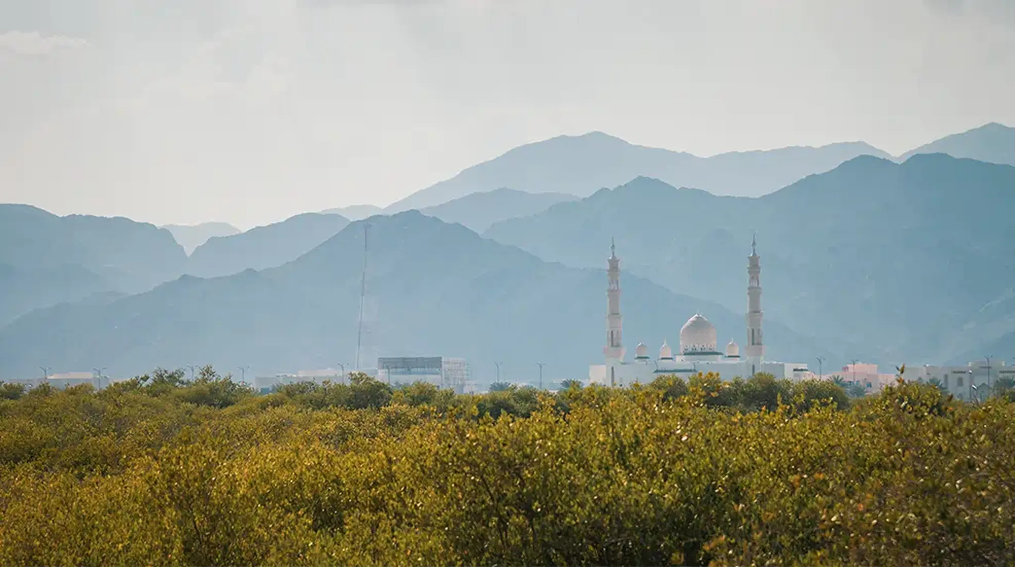 A mosque with tall minarets stands amidst greenery