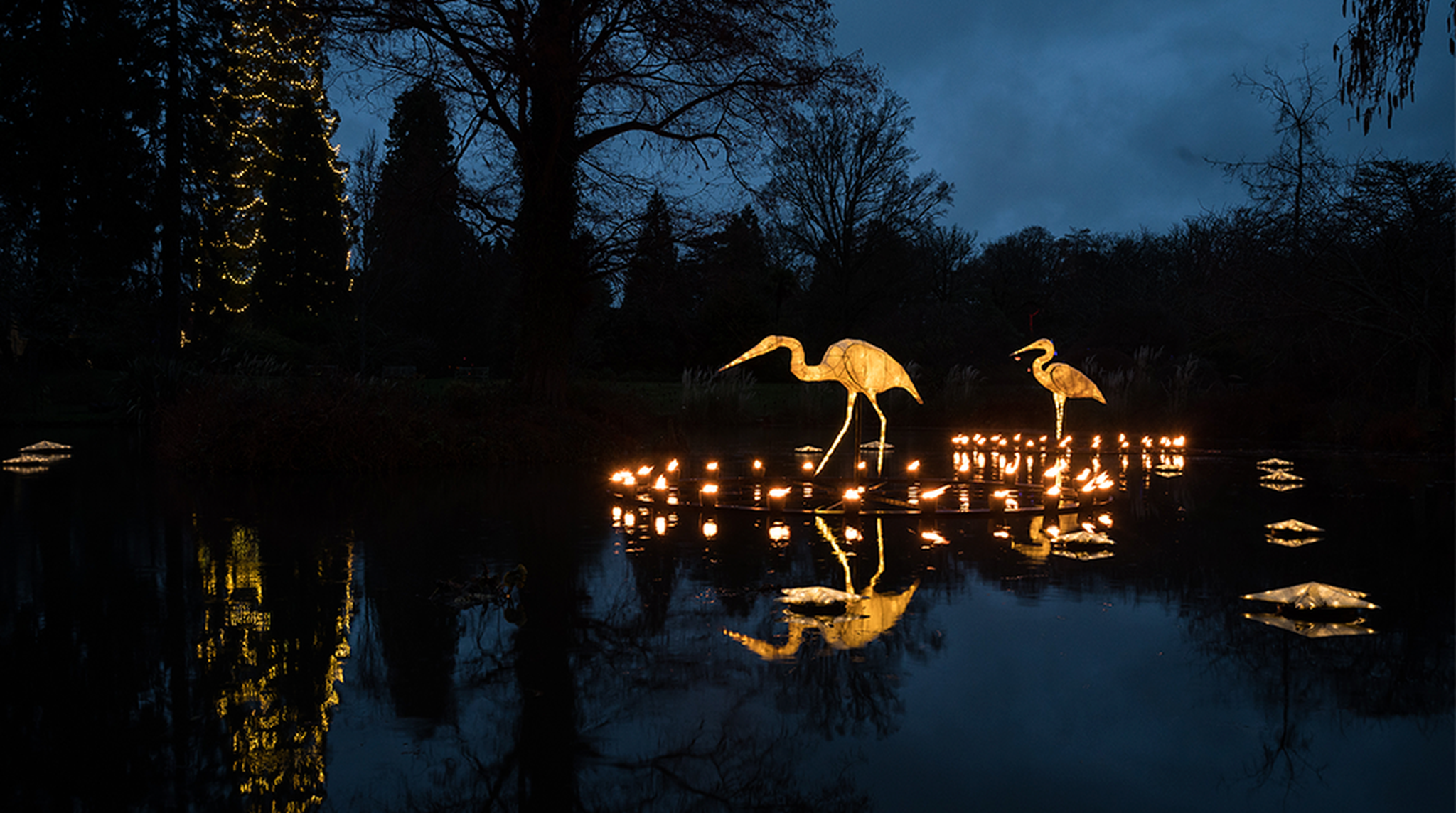 Glow Wild at Wakehurst