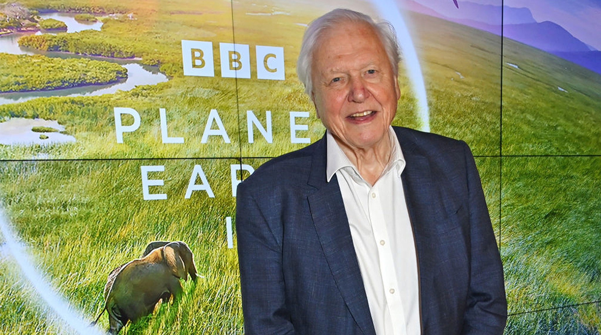 Sir David Attenborough attends the Global Launch of BBC Studios' "Planet Earth III" at Frameless on October 12, 2023 in London, England.
