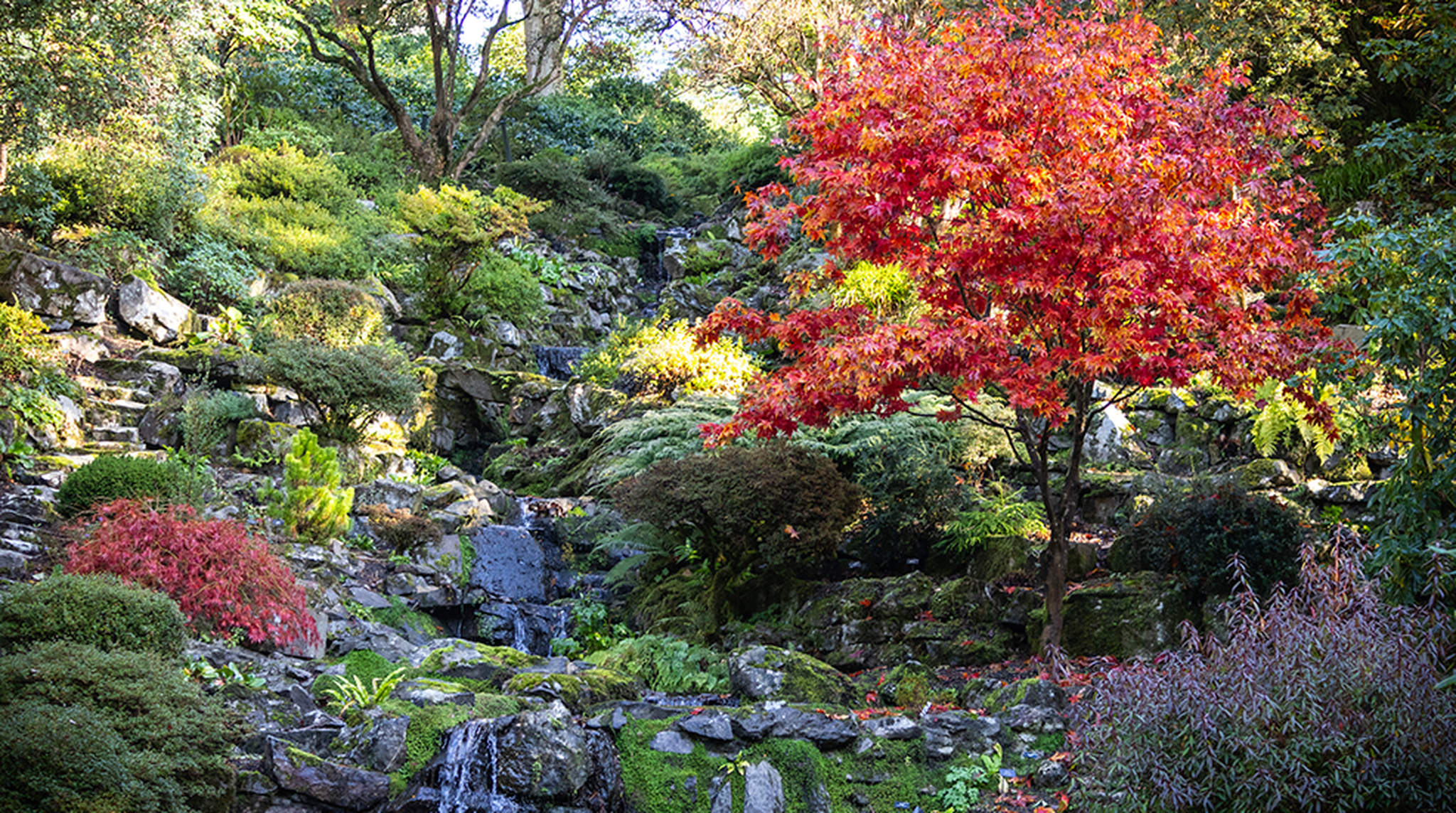 A secluded glade in Bodnant Gardens, North Wales.