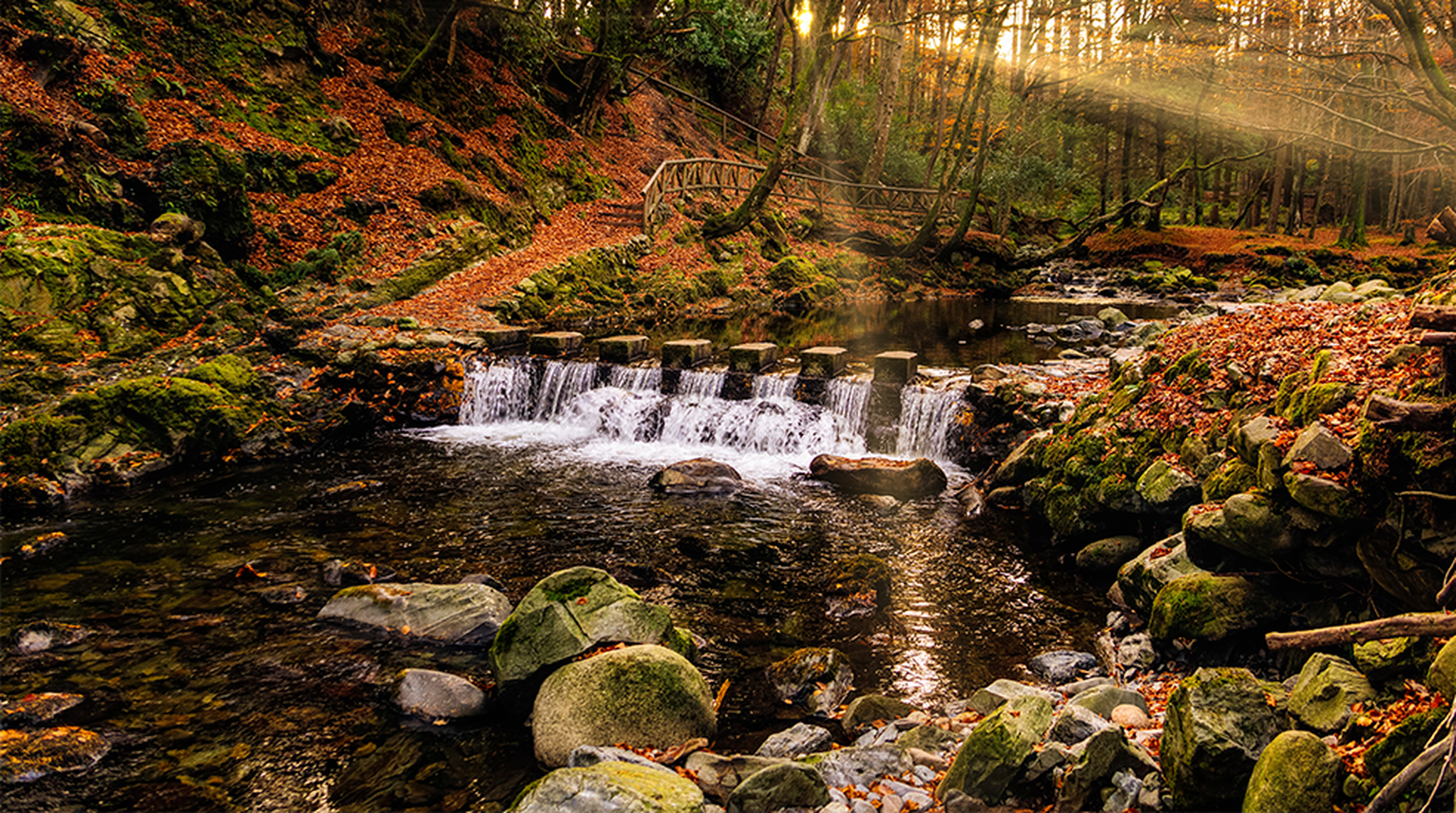Cascade on river and footpath with sunbeams shining through branches, golden coloured autumn trees, Tollymore Forest Park