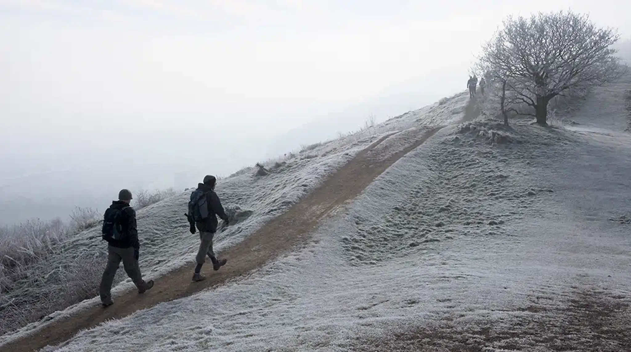 Two people hike up a frosty, mist-covered trail with a bare tree on the right