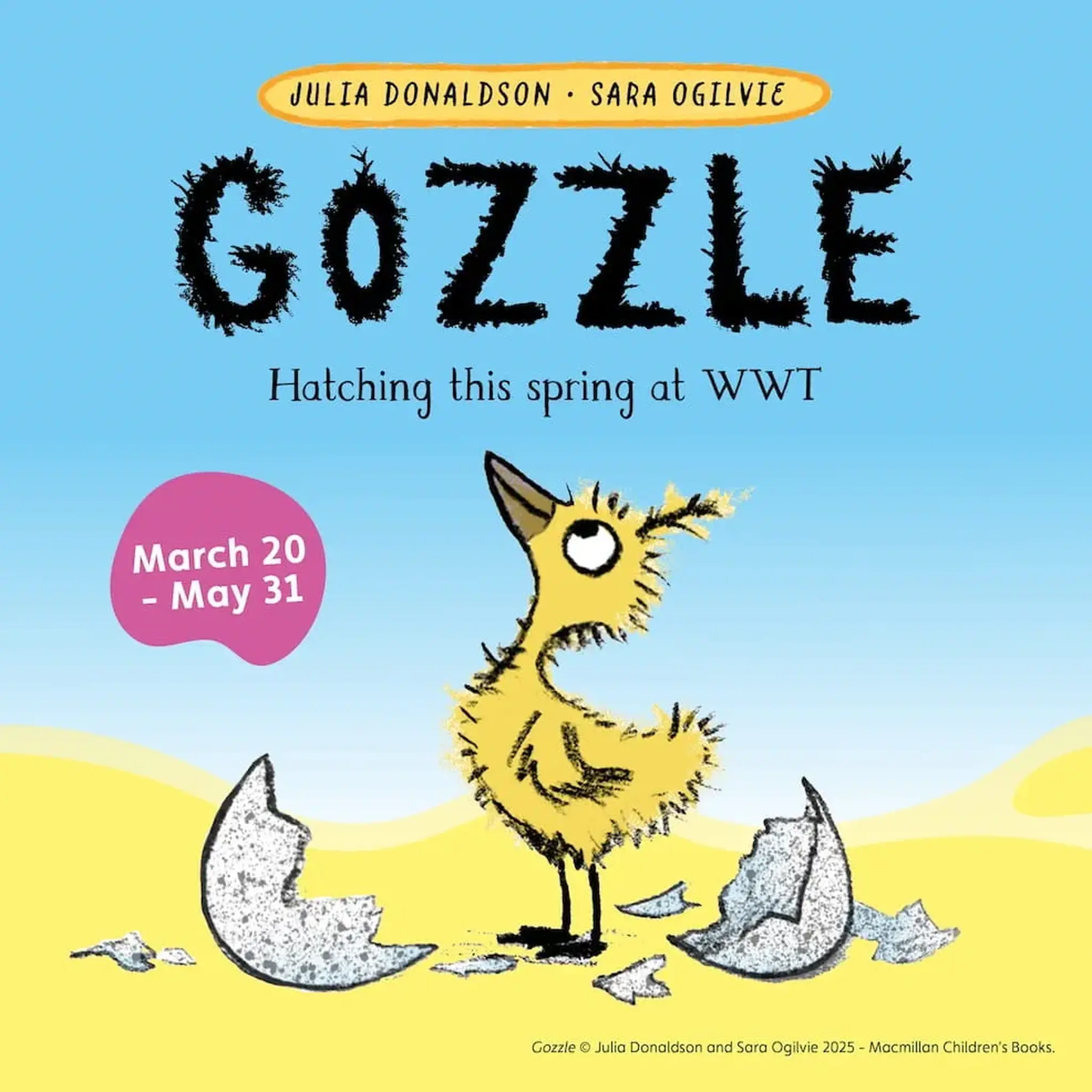 Illustrated yellow chick named Gozzle hatches from an egg