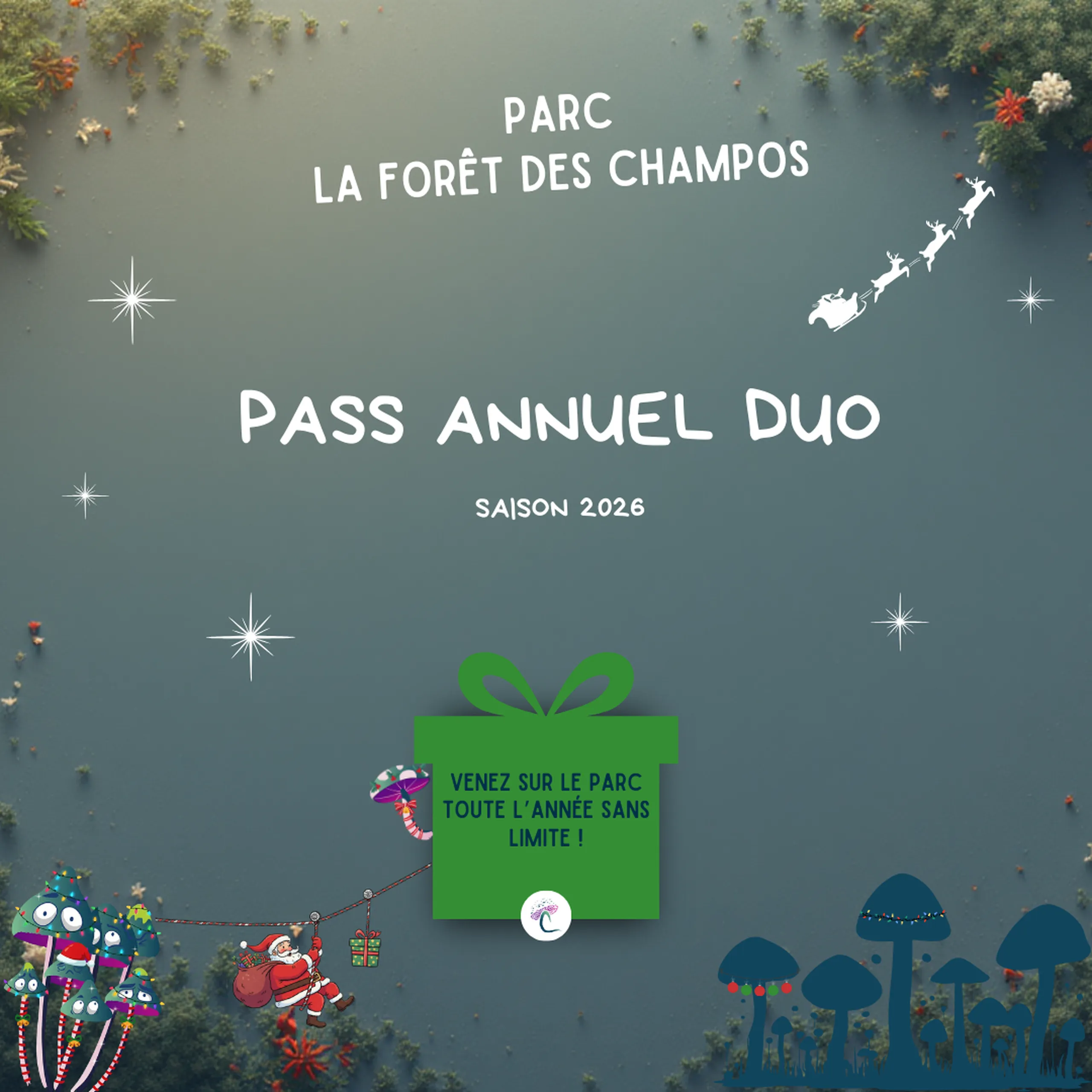 Visuel Pass annuel duo