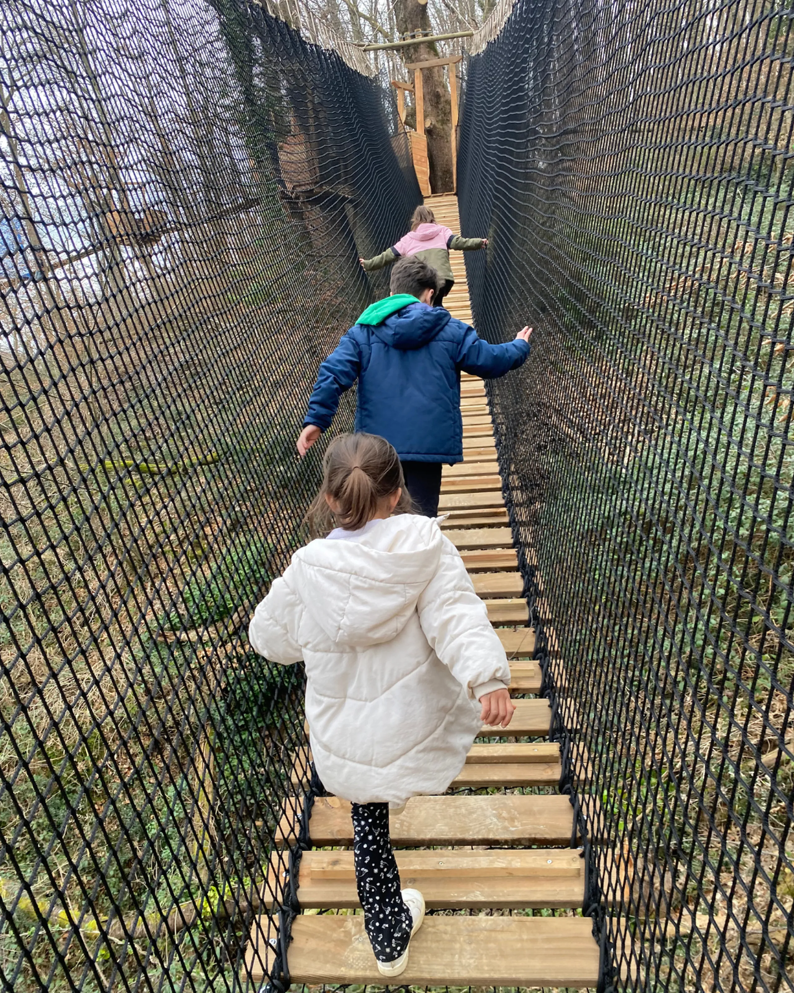 Photo activite Les Passerelles de la Canopée