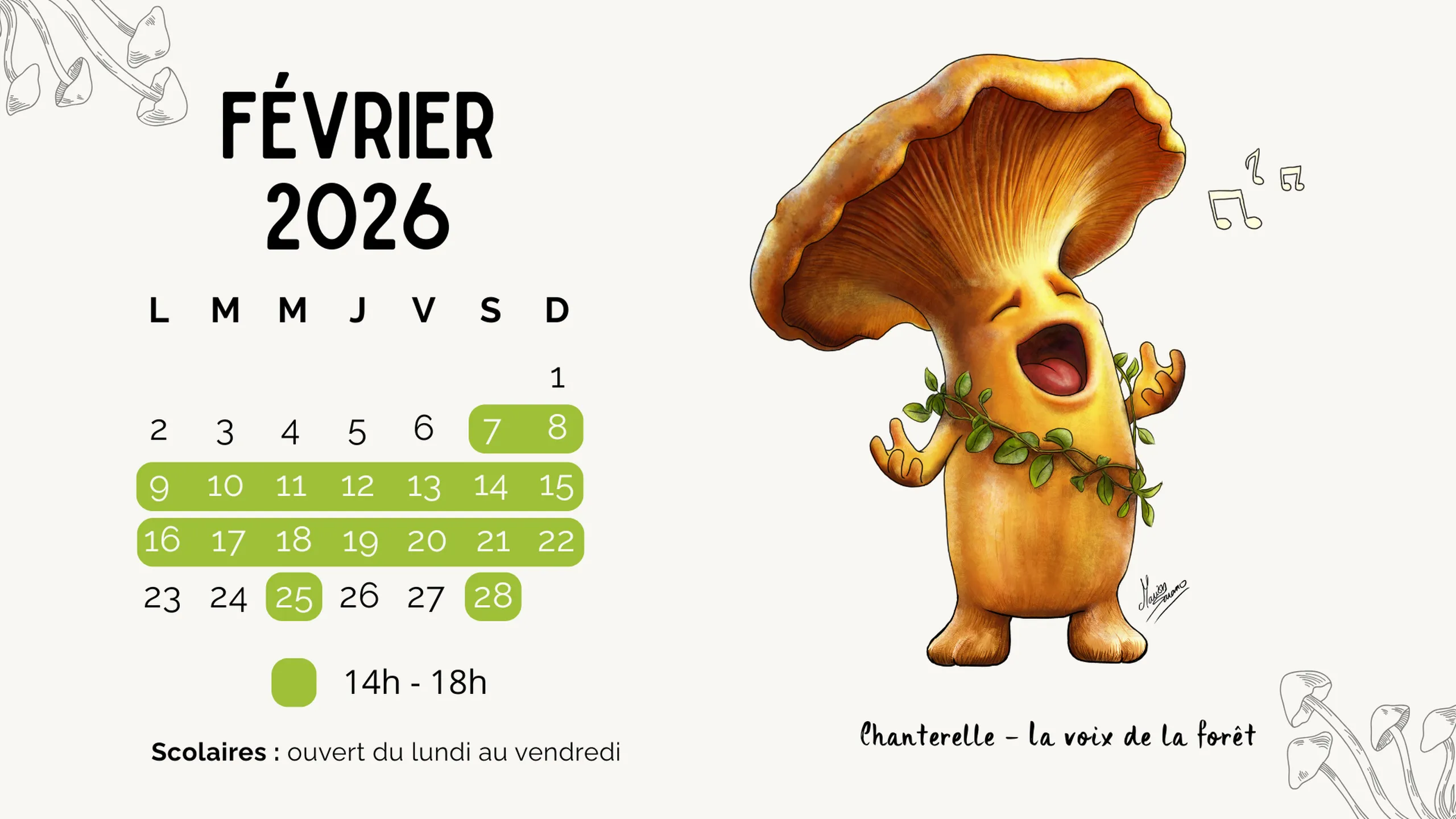 Calendrier d'ouverture Fevrier 2026