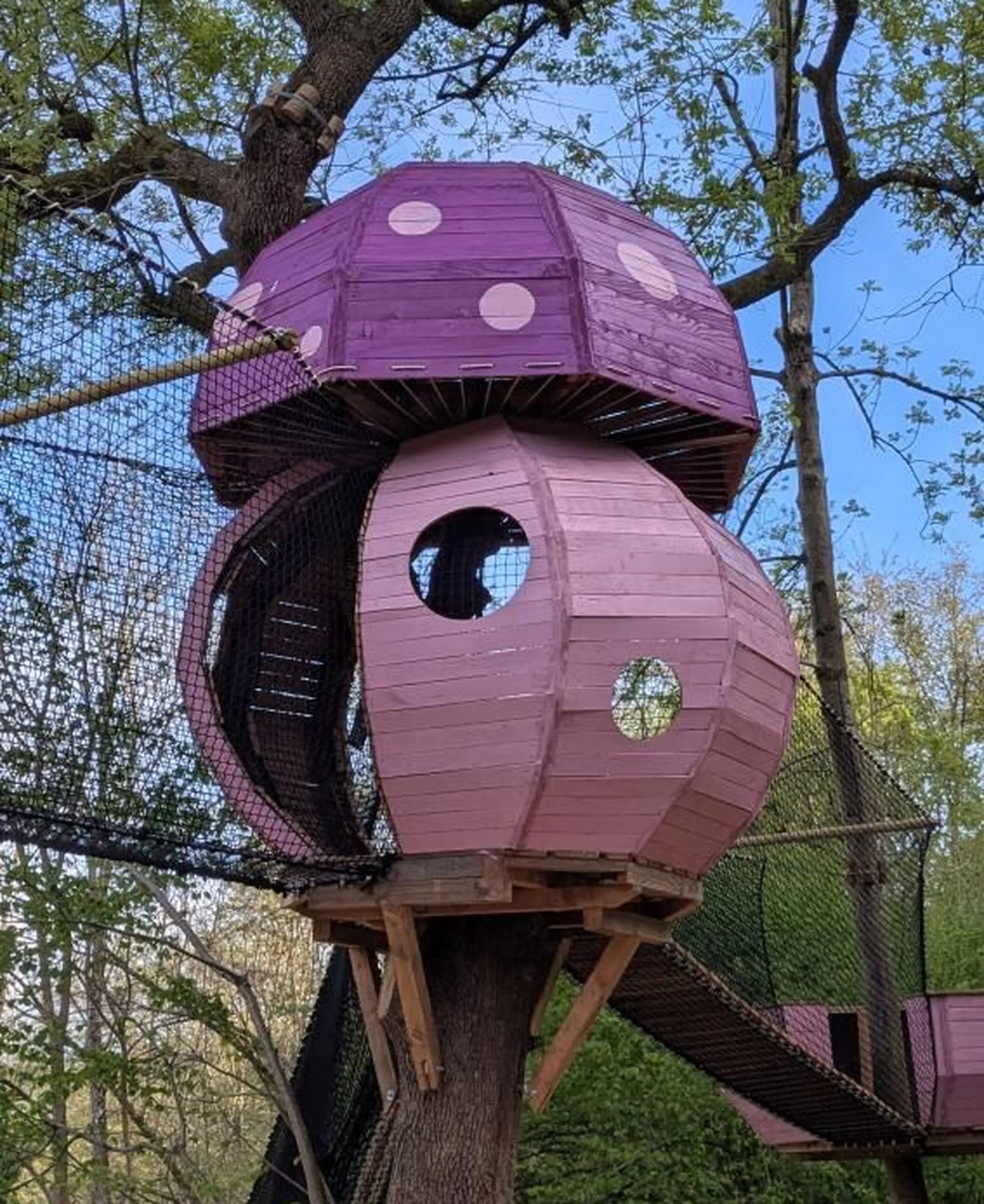 Cabane champignon - La Forêt des Champos