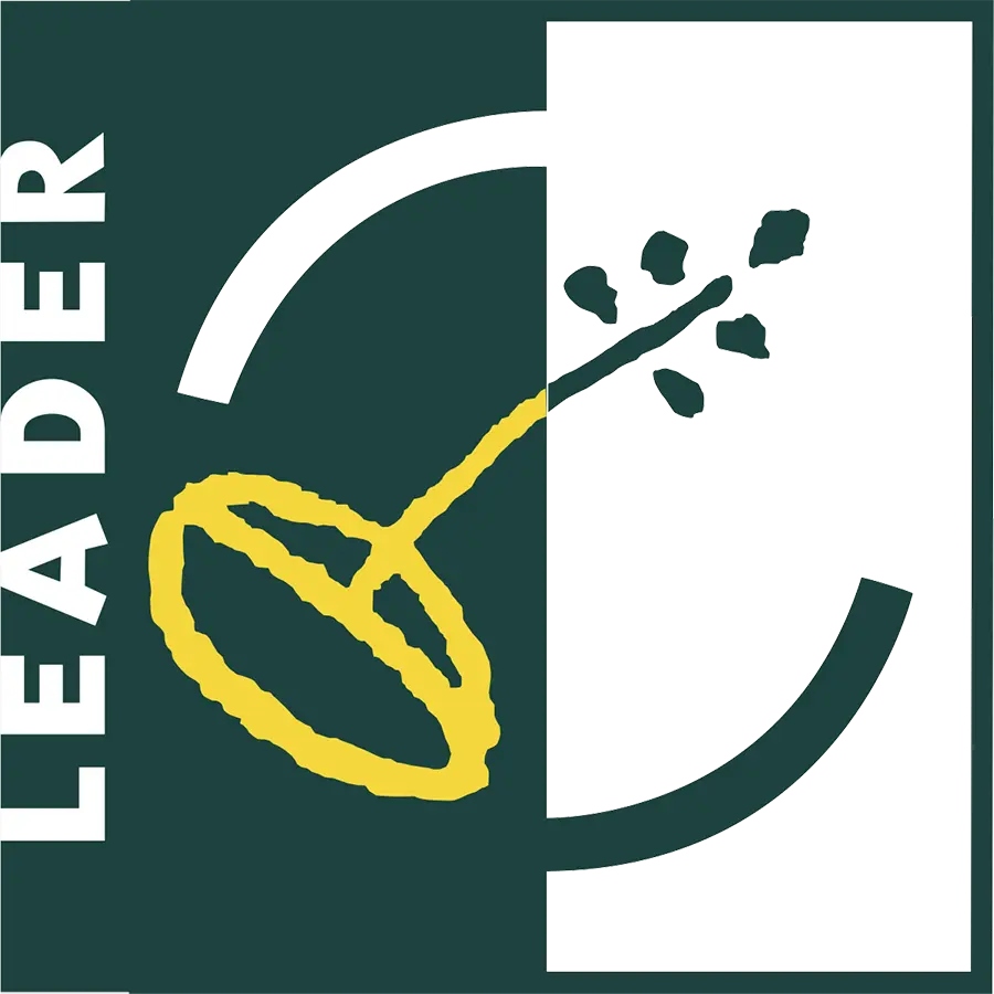 Logo leader