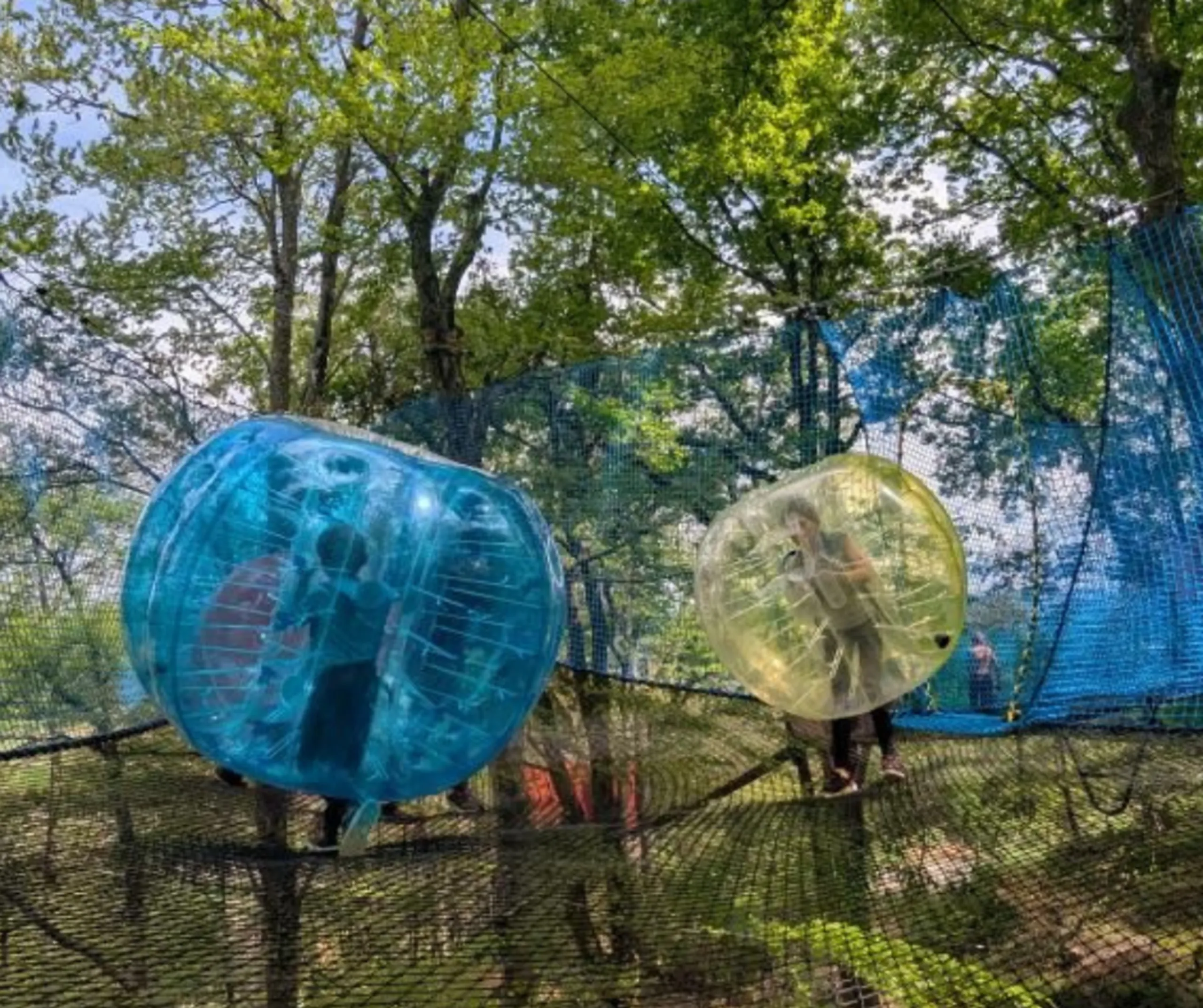 Bulles dans les filets