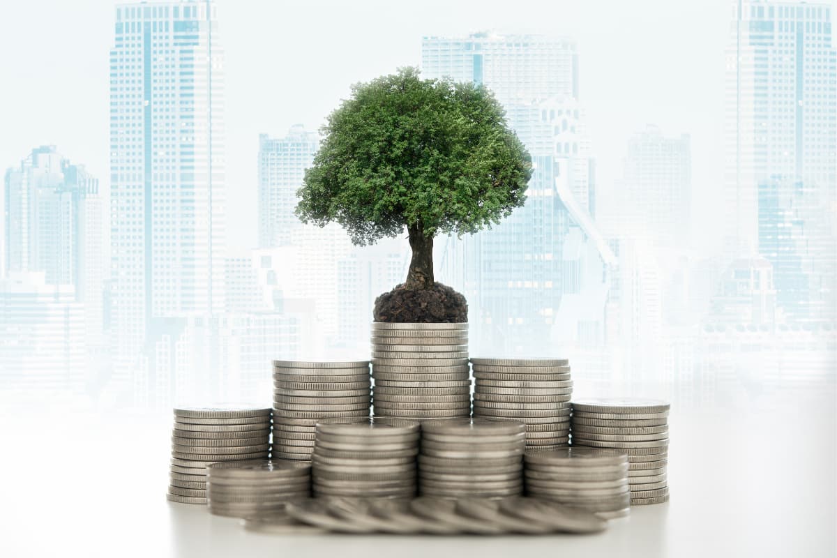 diverzifikace investiční portfolio