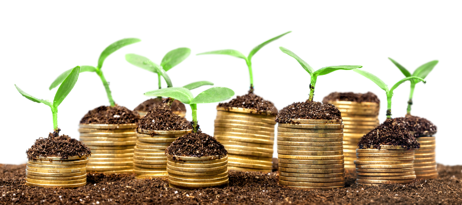 null alternativní investice