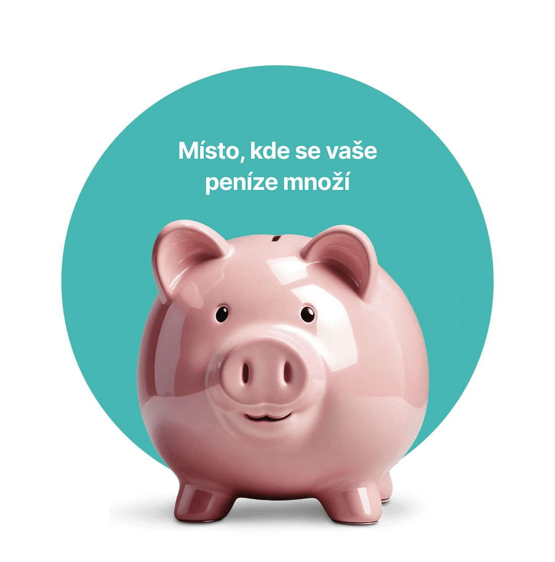 Pink piggy bank with a smiling face on a turquoise background. Czech text above reads, "Místo, kde se vaše peníze množí."