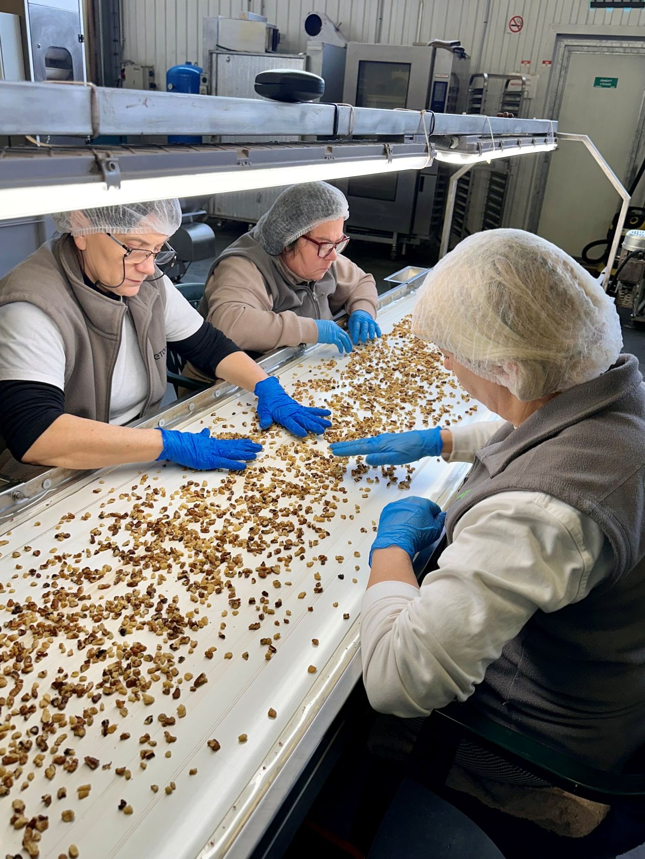 FAETON _ruční třídění Část procesu, kde se dbá na pečlivou kontrolu kvality